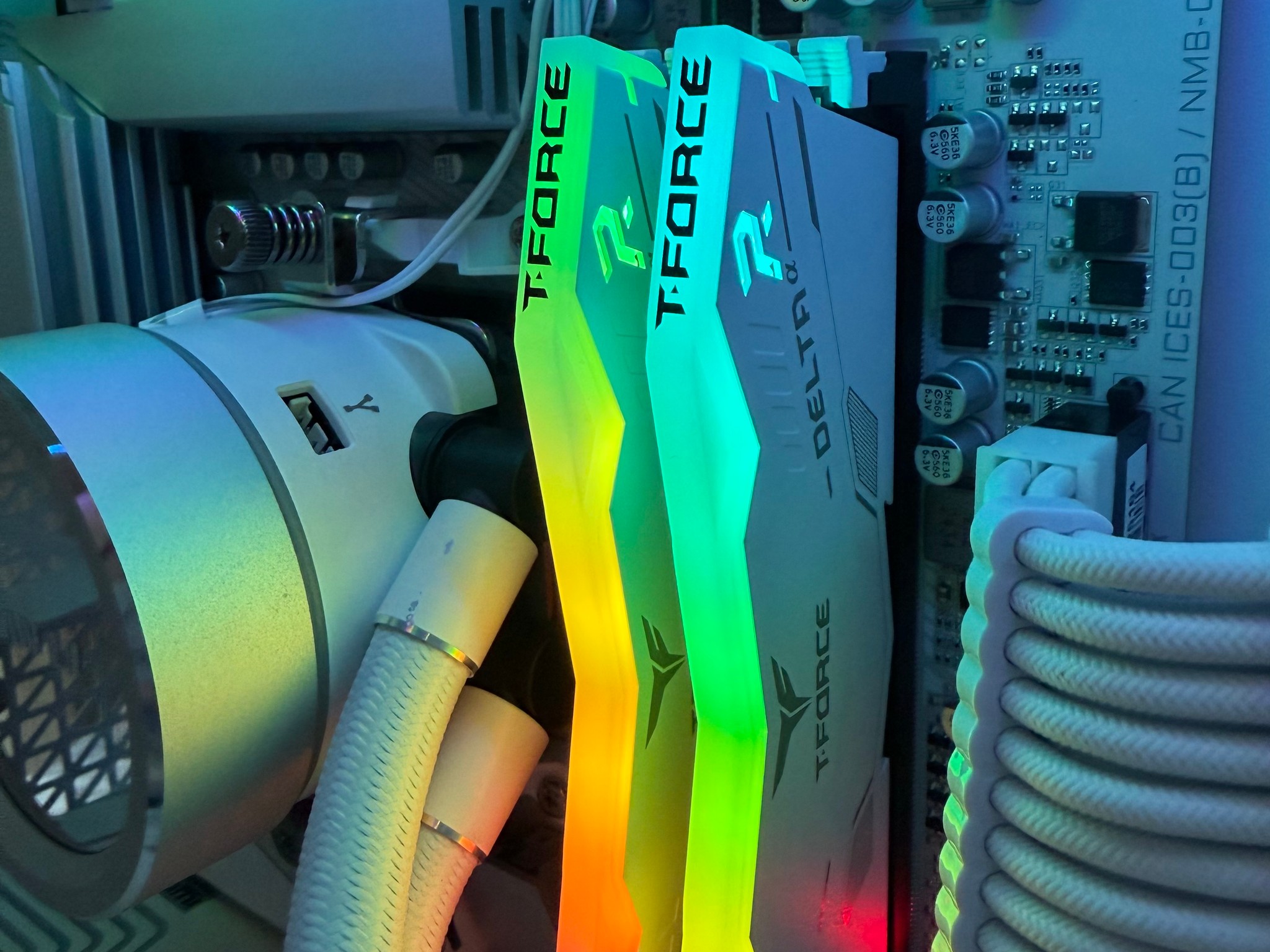 Arctic Pulse