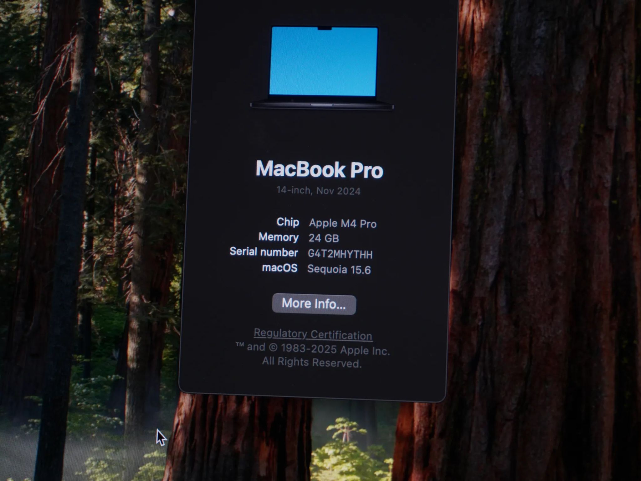 M4 Pro 14 Inch Macbook Pro | 24 GB Ram | 500 GB SSD