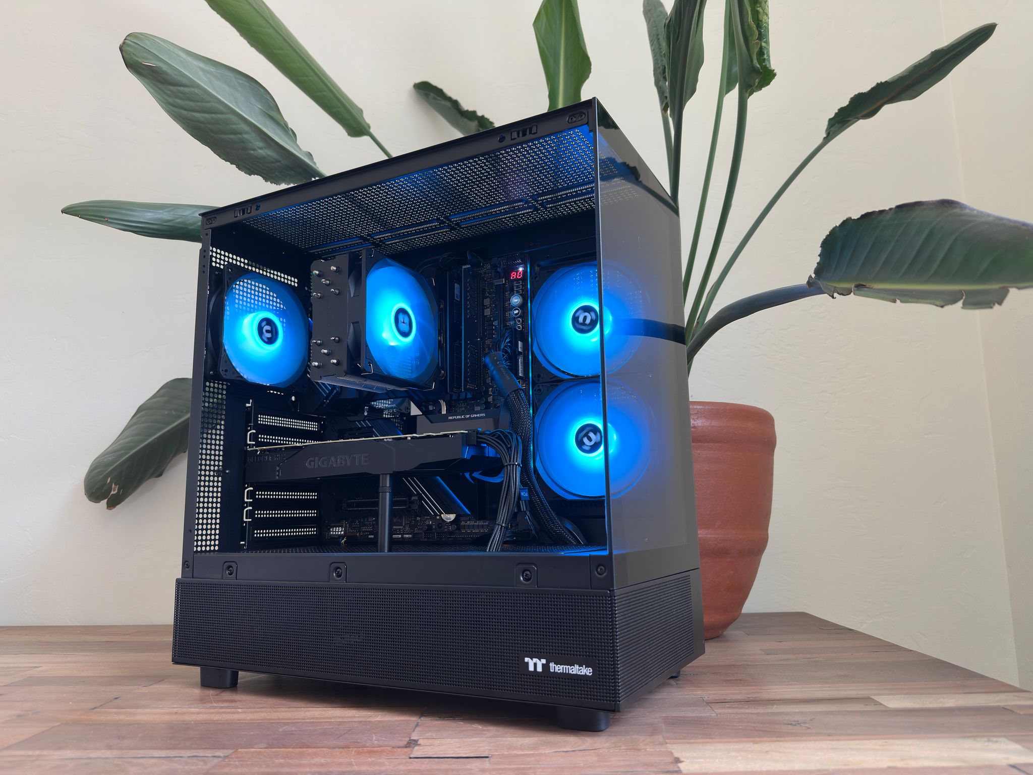 🟪 RTX 2080 Ti | i5-11600K | 2TB SSD | 64GB RAM | Windows 11 | WiFi 🟪
