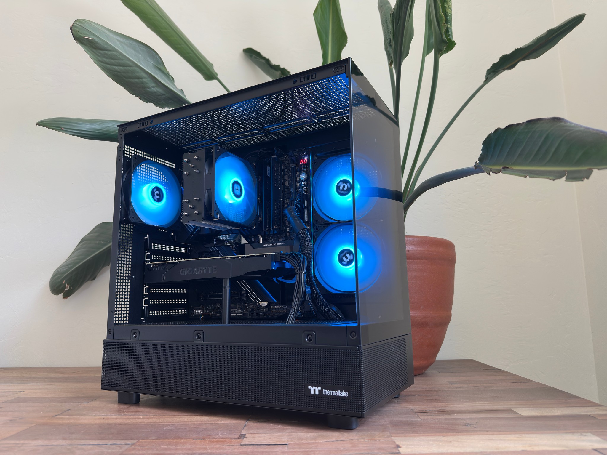 🟪 RTX 2080 Ti | i5-11600K | 2TB SSD | 64GB RAM | Windows 11 | WiFi 🟪