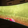 msi MPG 49" Curved OLED Gaming Monitor 144Hz 0.03ms Gaming Monitor FreeSync Premium Pro