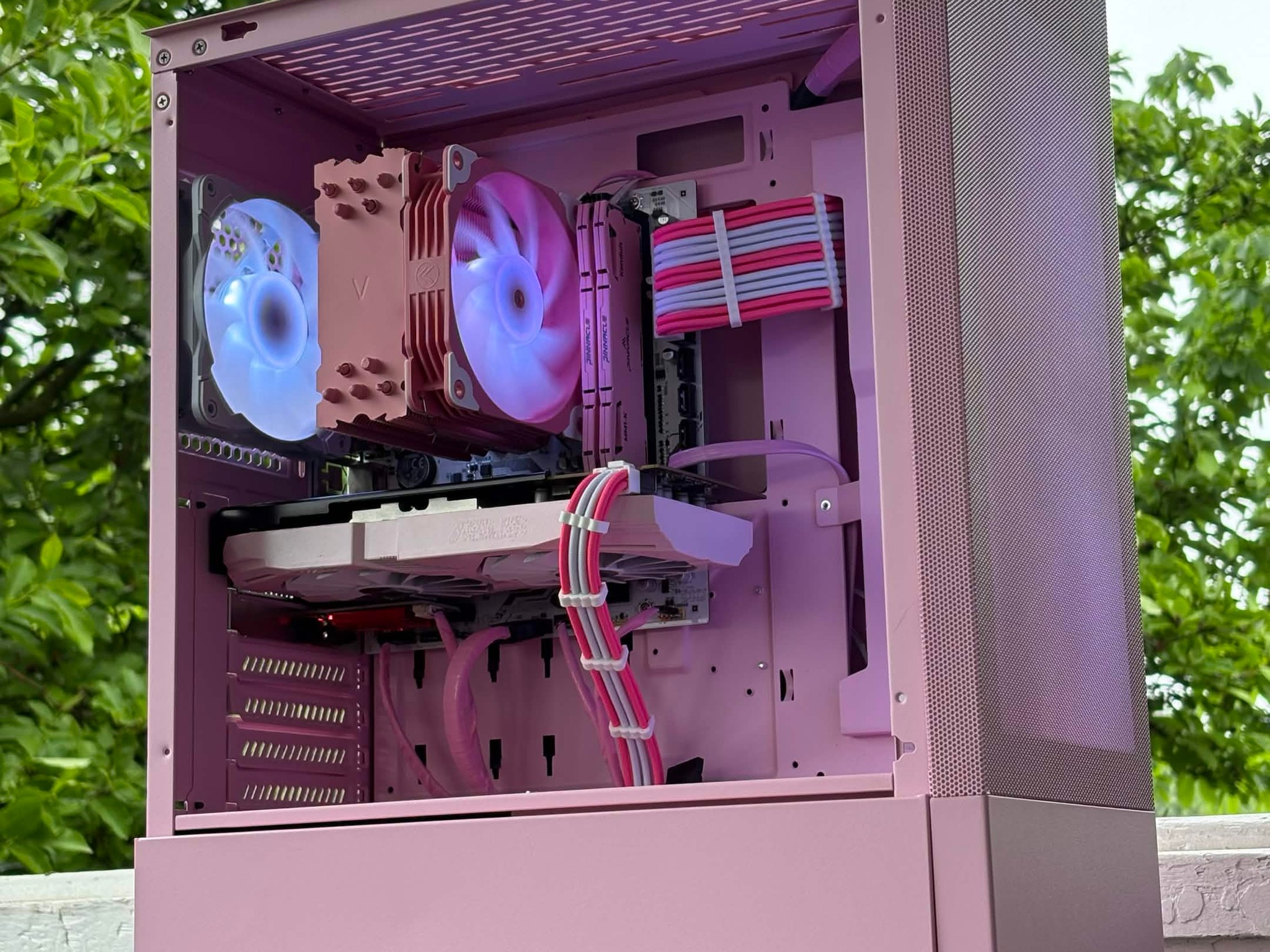 🌸 Black Cat Customs – Pink Venom 🌸 Ryzen 5 / RX580 / 16GB RAM / 128GB NVME + 1TB HDD