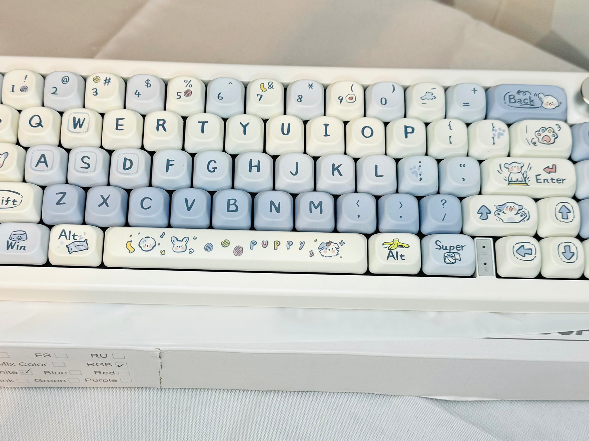 Cute Blue and white Custom Keyboard
