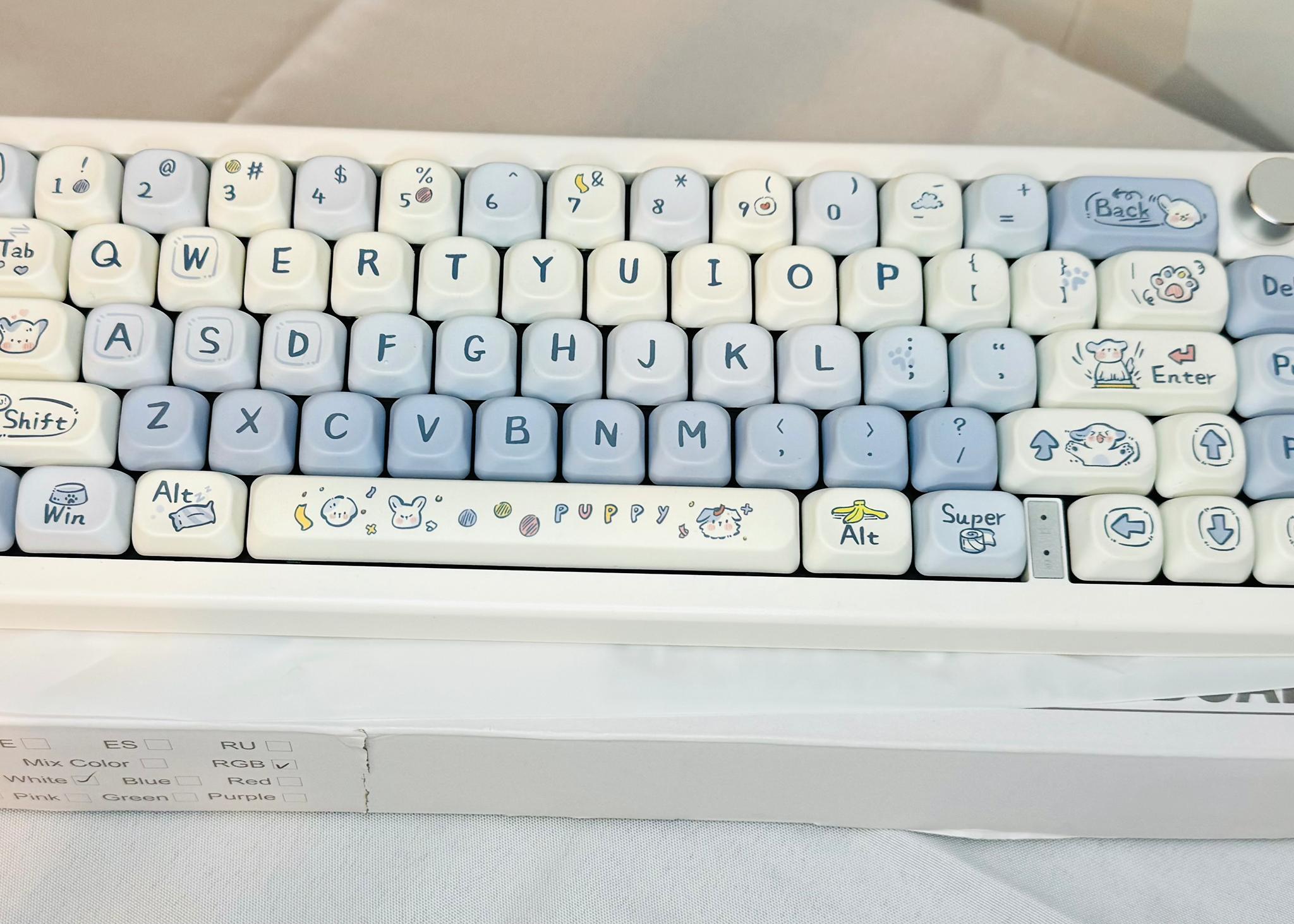 Cute Blue and white Custom Keyboard
