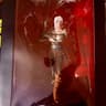The Witcher 3 Wild Hunt | Cirilla "Ciri" Statue | Dark Horse 10in Figure