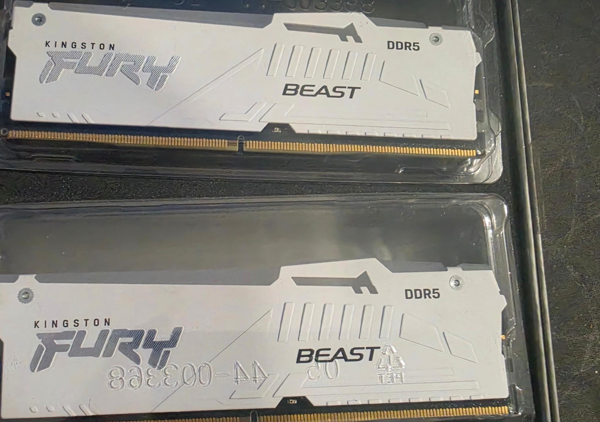 Kingston FURY Beast 16GB DDR5-6000 (1x16GB)