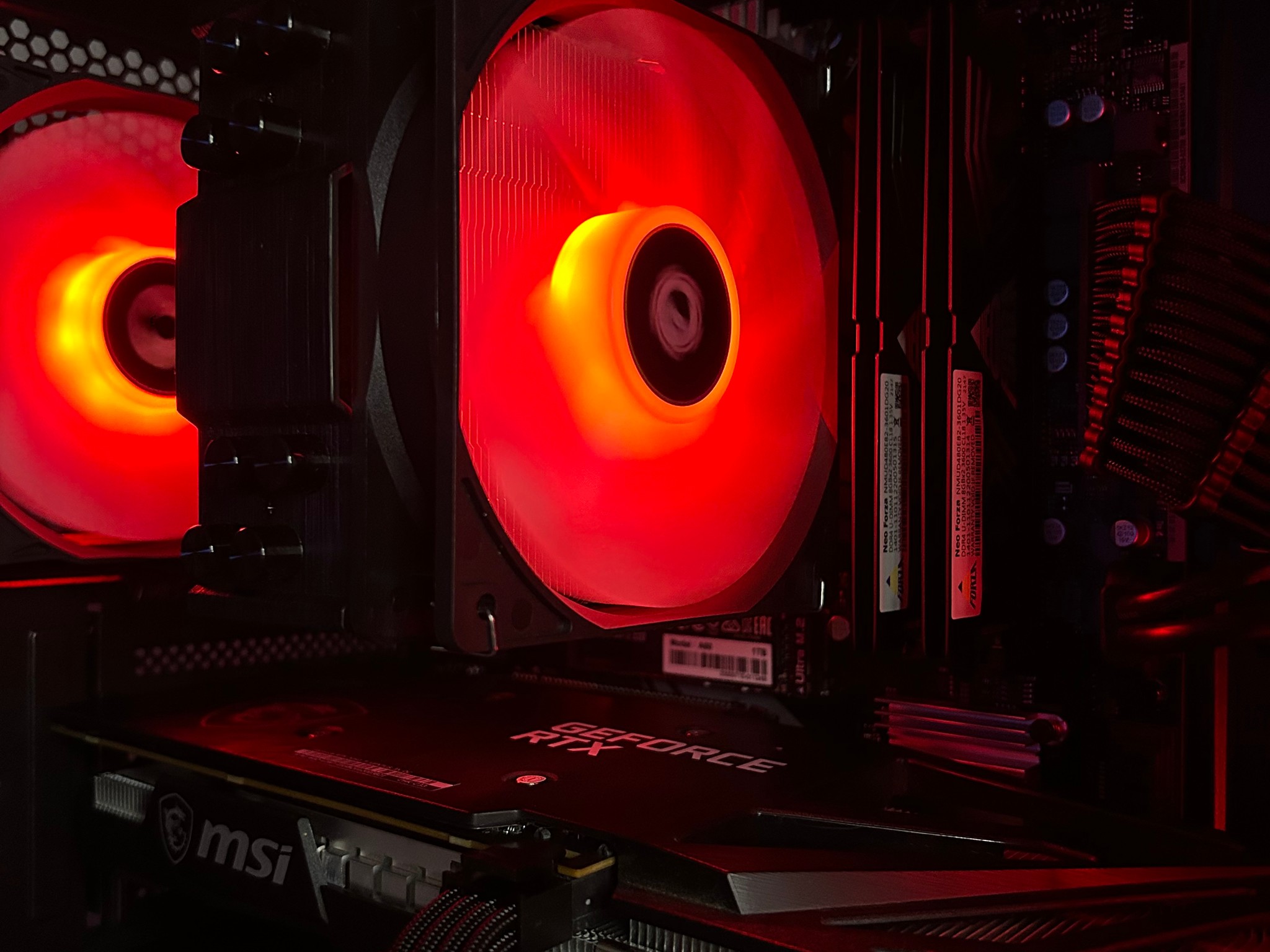 👹👹👹| MSI RTX 3060 Ti 8GB | Ryzen 5 5600 | Neo Forza 16GB 3600Mhz