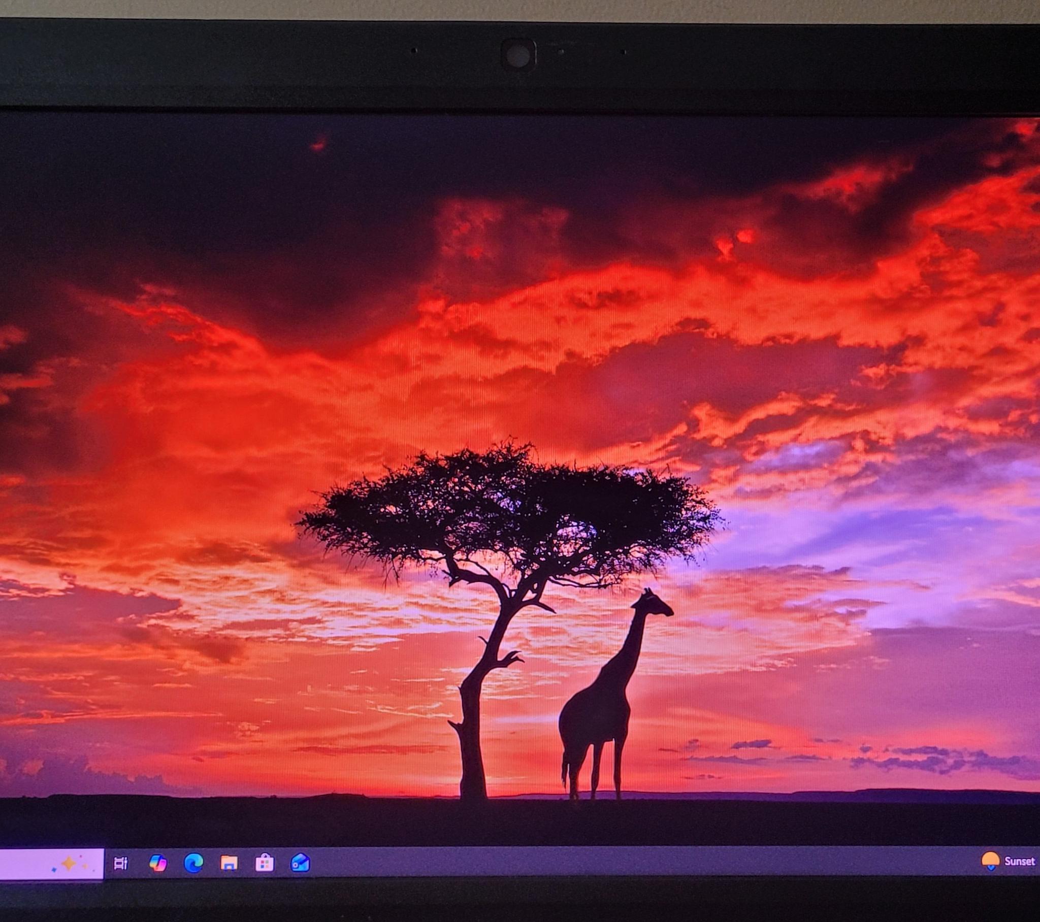 HP Compaq Pro 6300 All-in-One | i5-3570S 3.1GHZ | 12GB RAM | 240GB SSD | WIN 10 | XP Vista Gaming