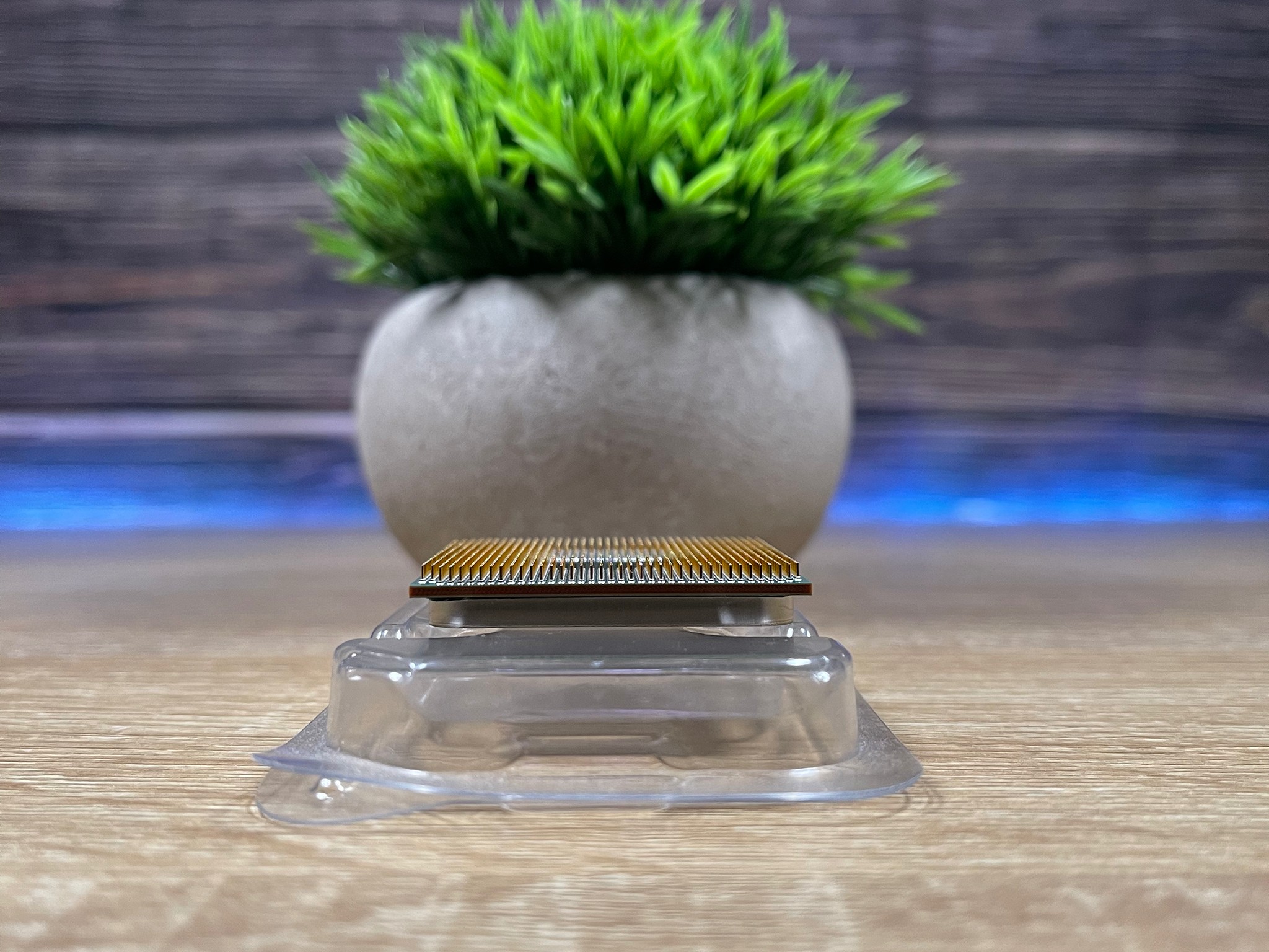 AMD Ryzen 5 3600