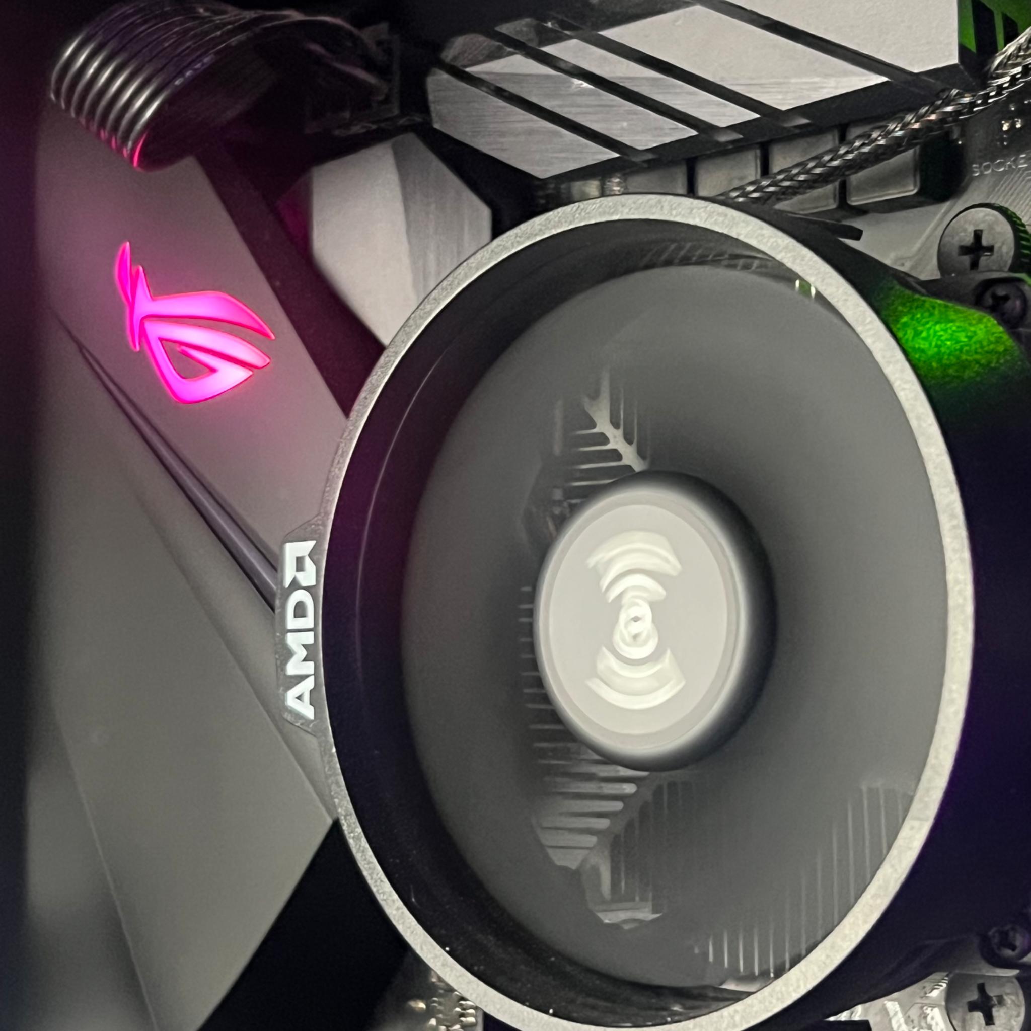 🐍 Cobra 🐍 Ryzen 5 2600 | 32GB DDR4 Ram | NVME | 8GB GPU