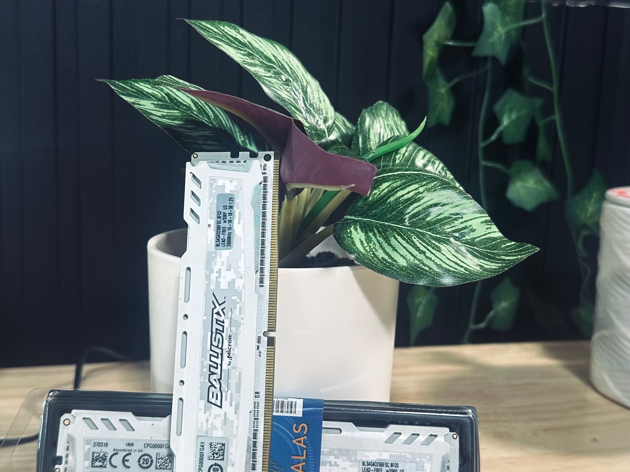 WHITE Ballstix 32GB DDR4