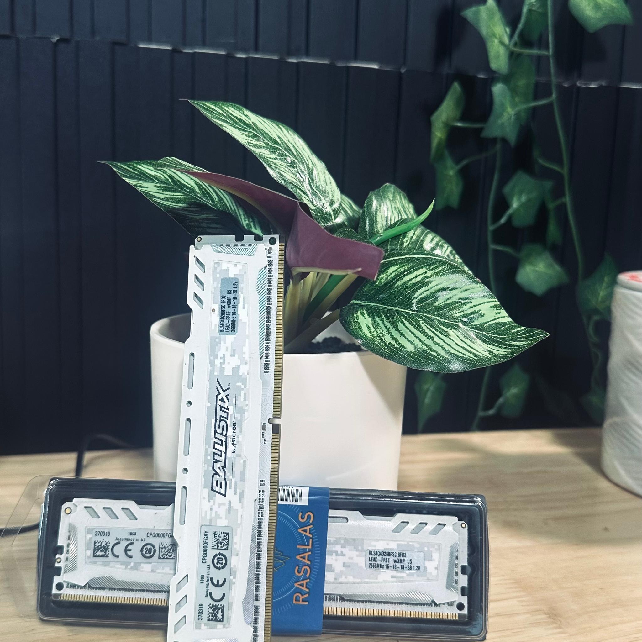 WHITE Ballstix 32GB DDR4