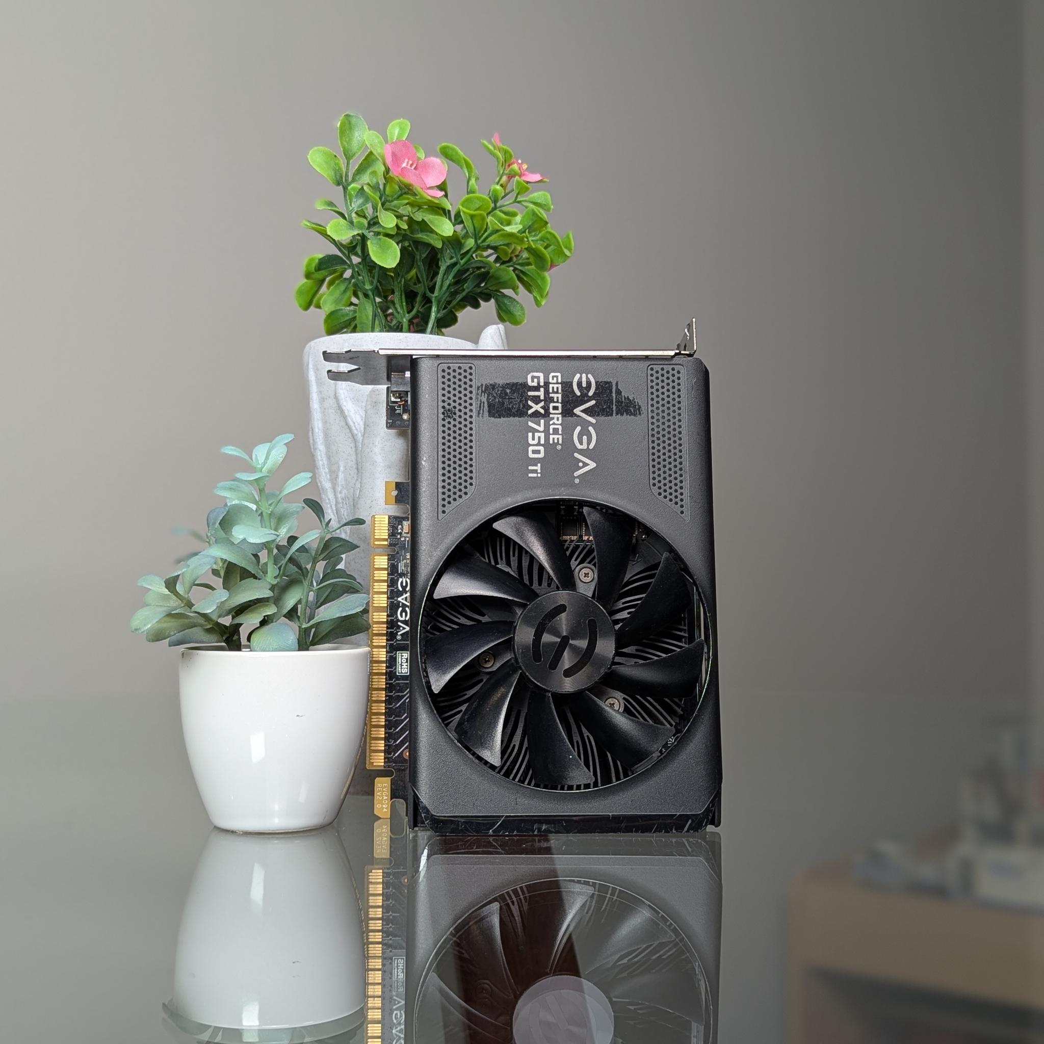 EVGA GTX 750Ti | Please Read Description | Powers On, But No Video Signal (??)