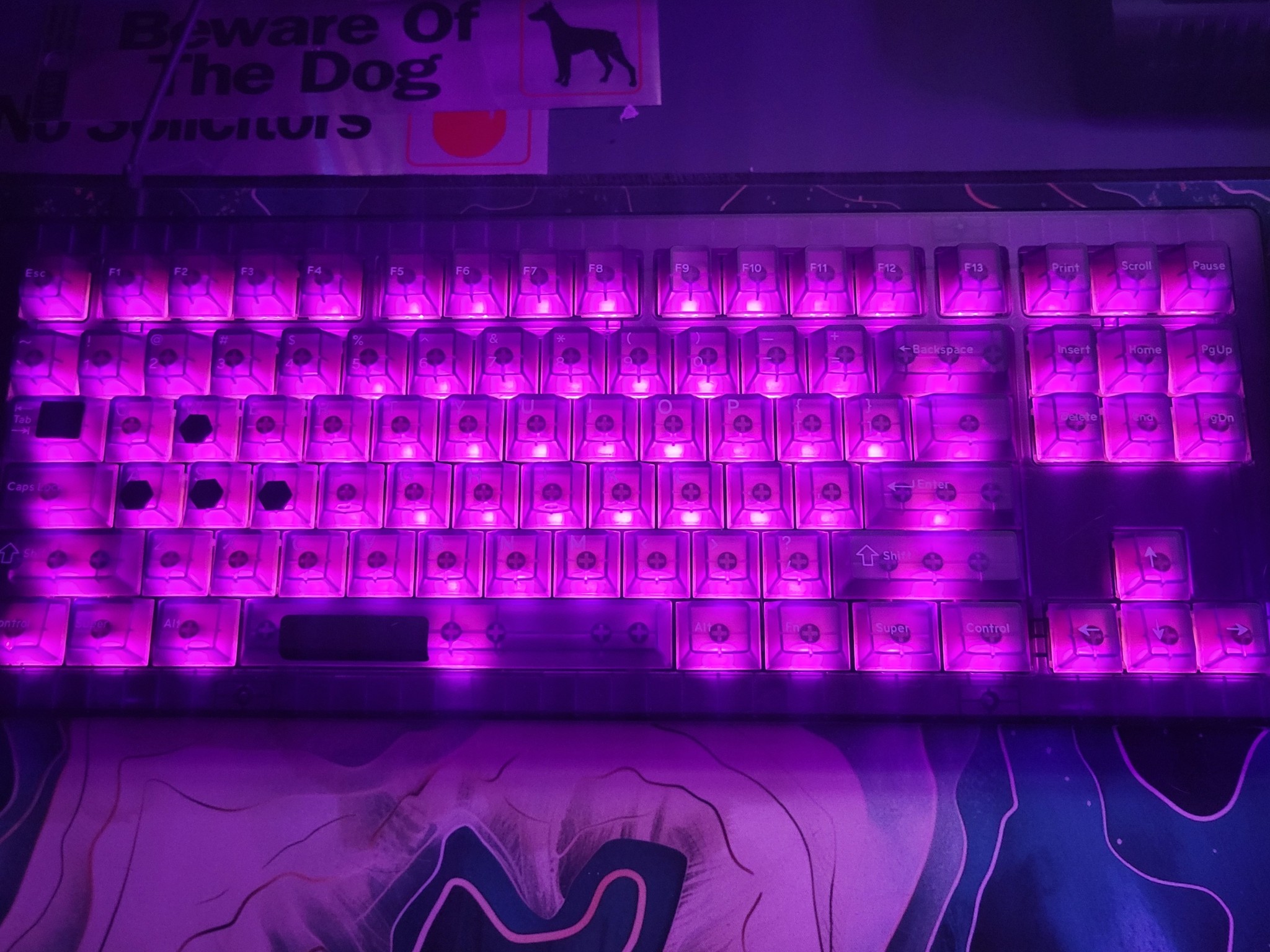 Brand New!! DROP CSTM80 Atomic Purple