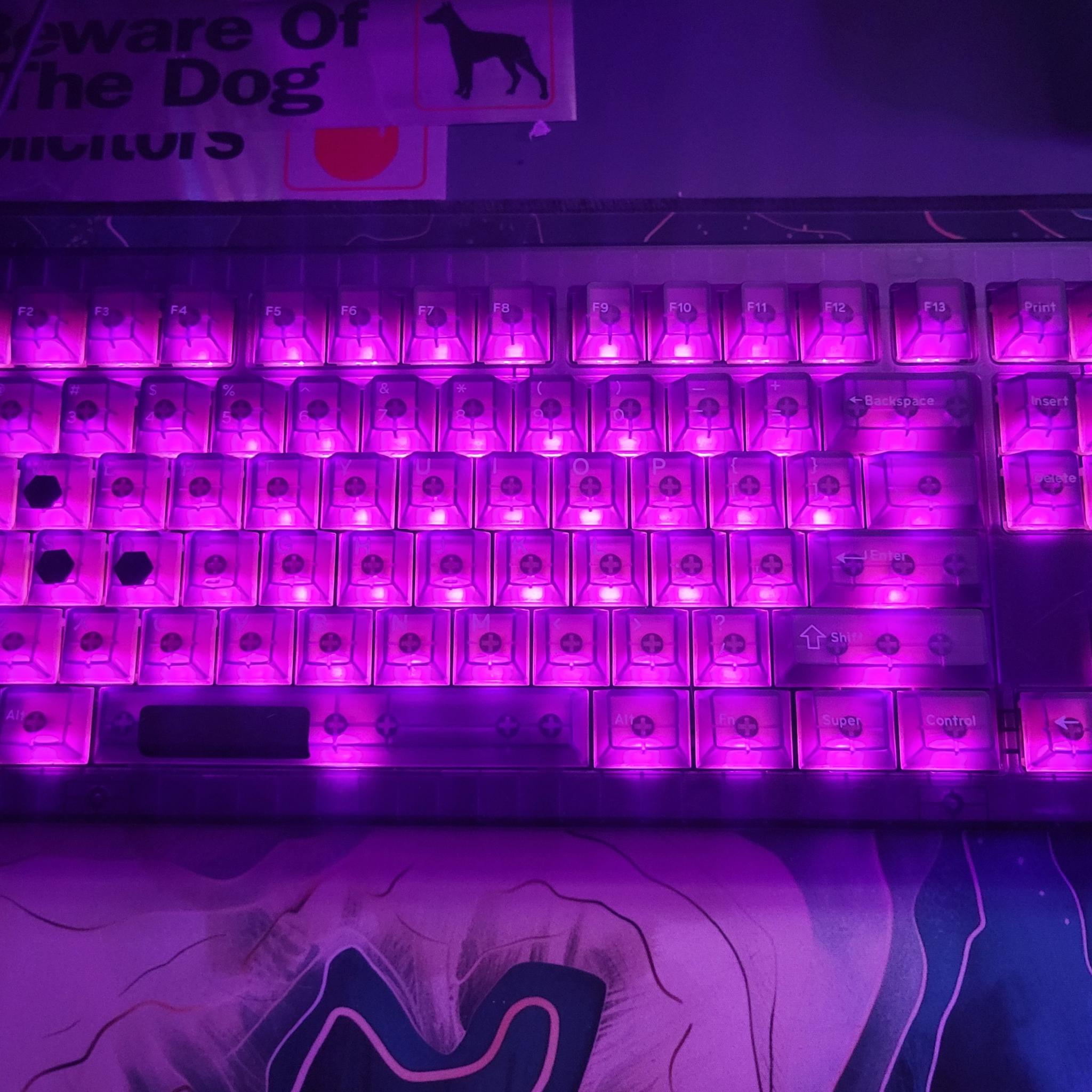 Brand New!! DROP CSTM80 Atomic Purple