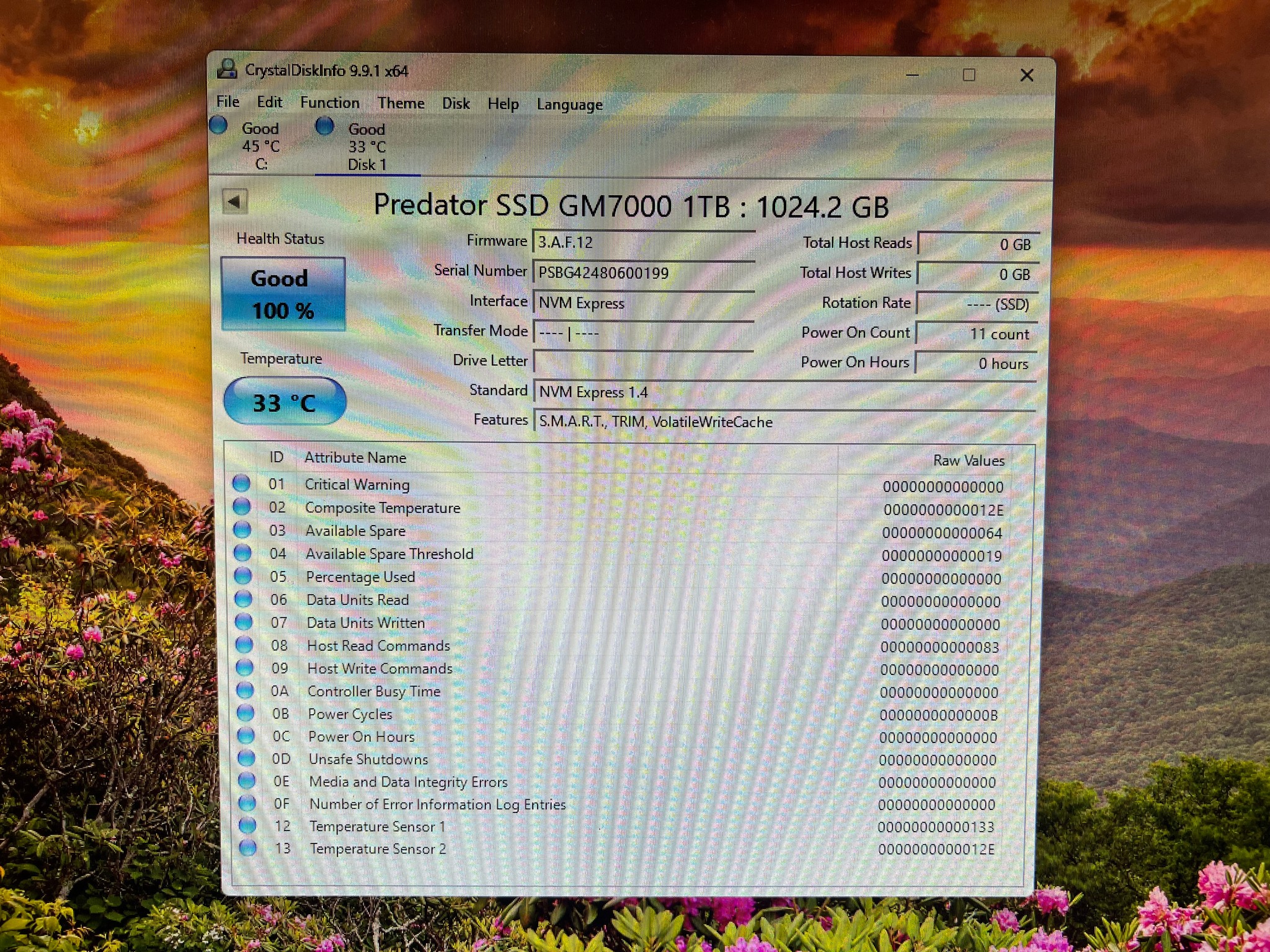 1TB PCIe Gen 4.0x4.0 M.2 NVMe SSD Acer Predator GM7000 with DRAM Cache - 100% Health