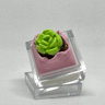 DOLLAR KEYCAPS!! *Fresh Greenery*