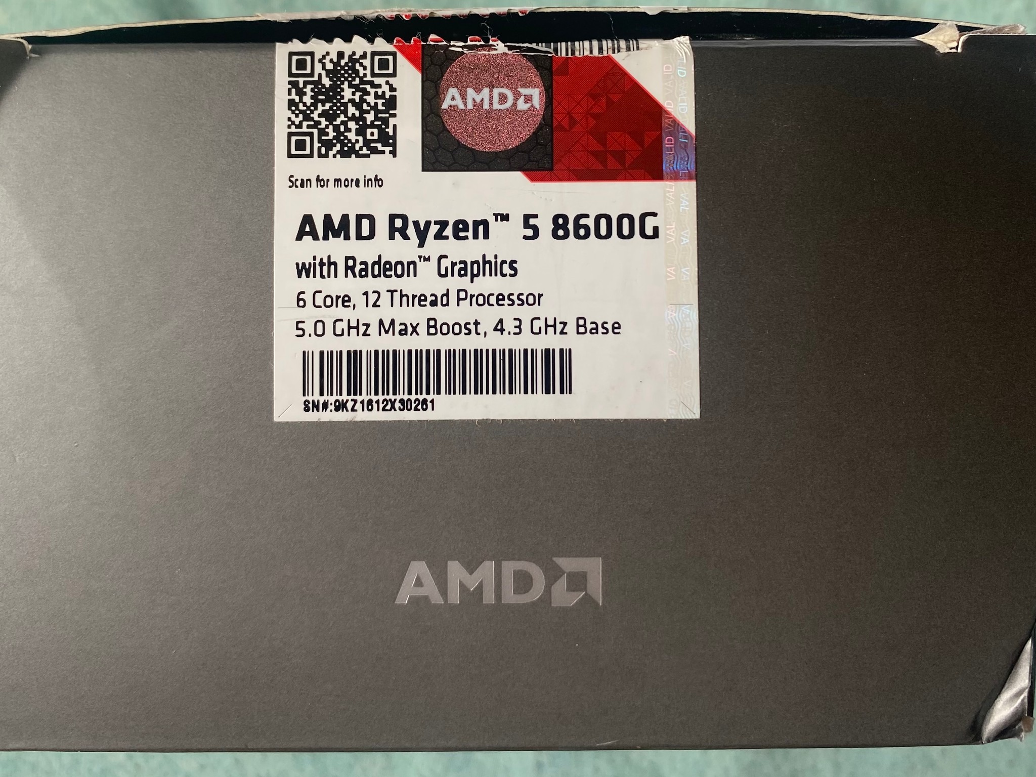 AMD Ryzen 5 8600G
