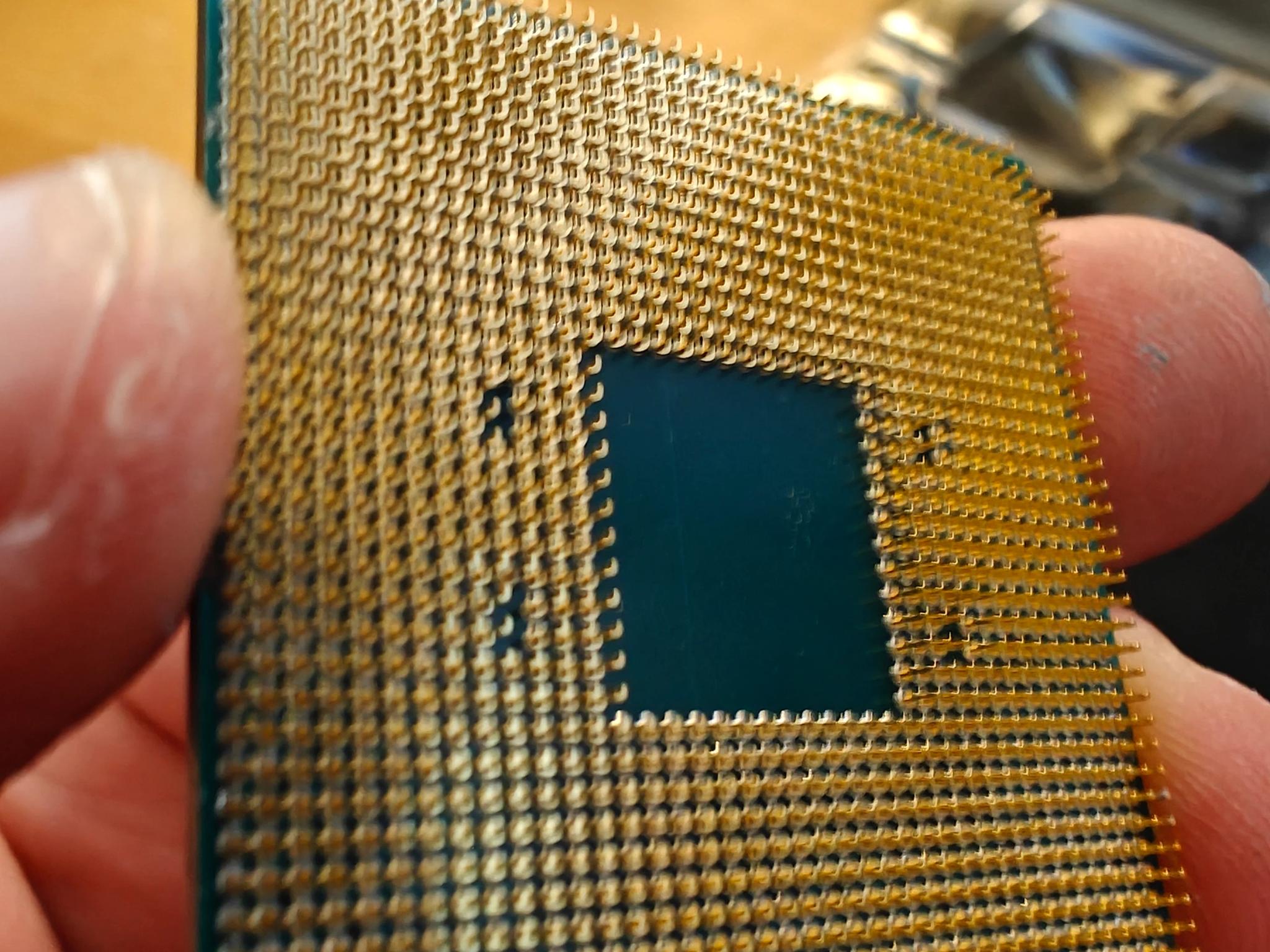 AMD Ryzen 5 3600