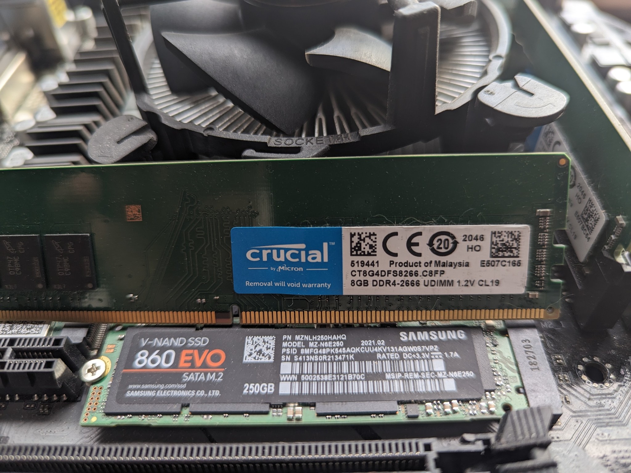 ASRock budget build motherboards