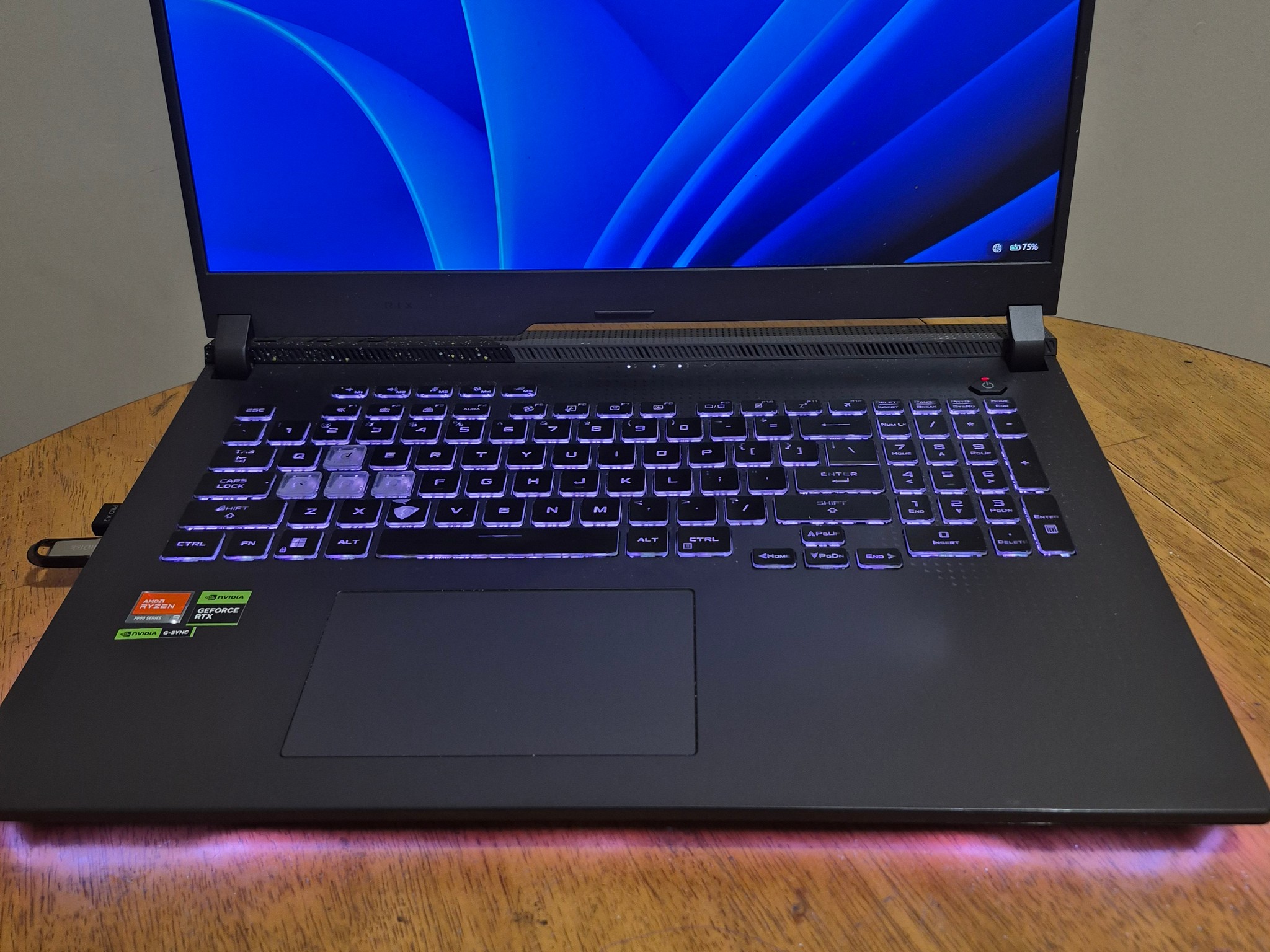 ***READ DESCRIPTION*** ASUS ROG STRIX G713PV-WS94 RTX 4060 RYZEN 9 7845HX 64GB DDR5-5600 CL46