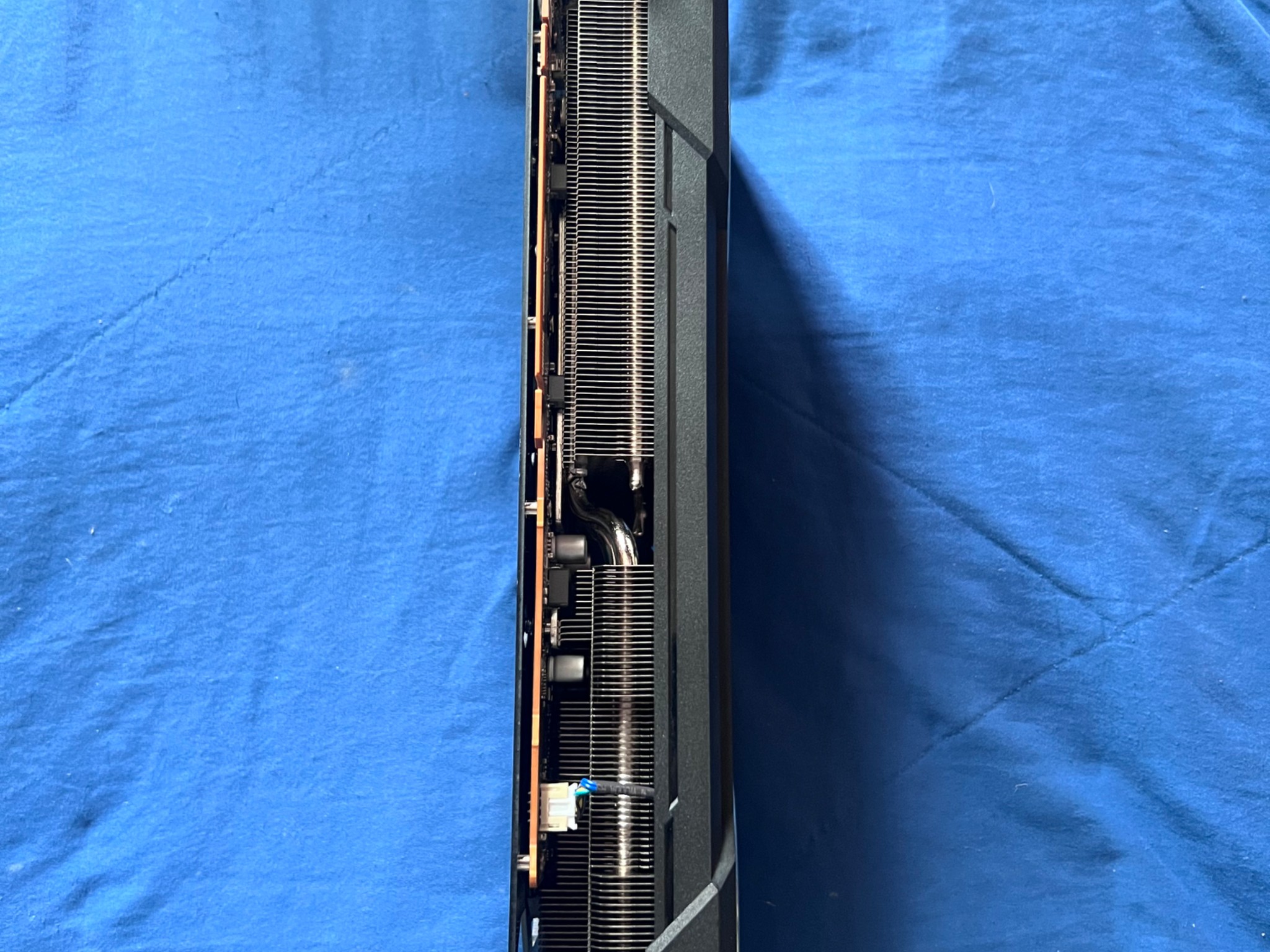 HellHound 🐺 6700XT