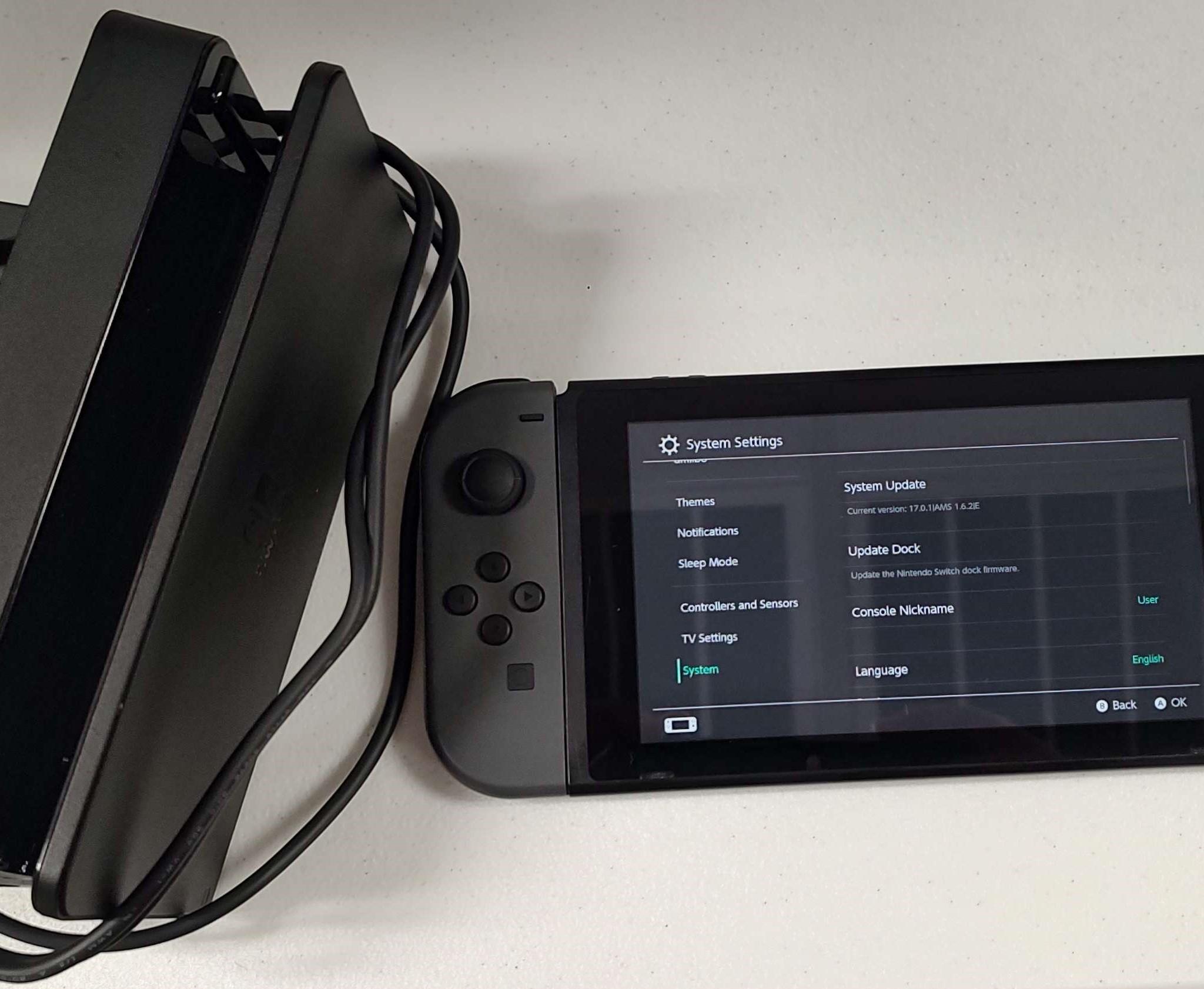 Nintendo Switch Soft Modded