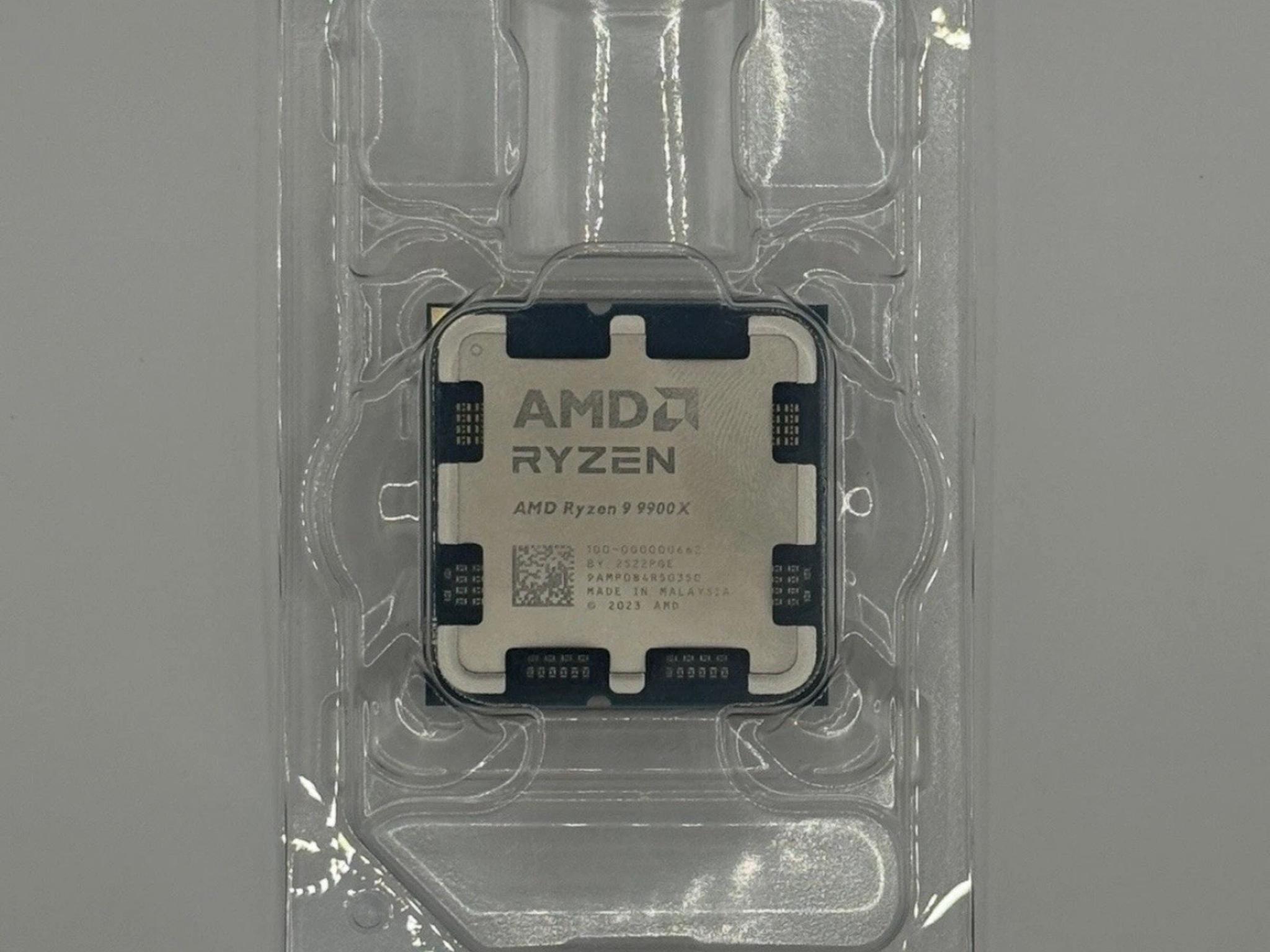 AMD Ryzen 9 9900X