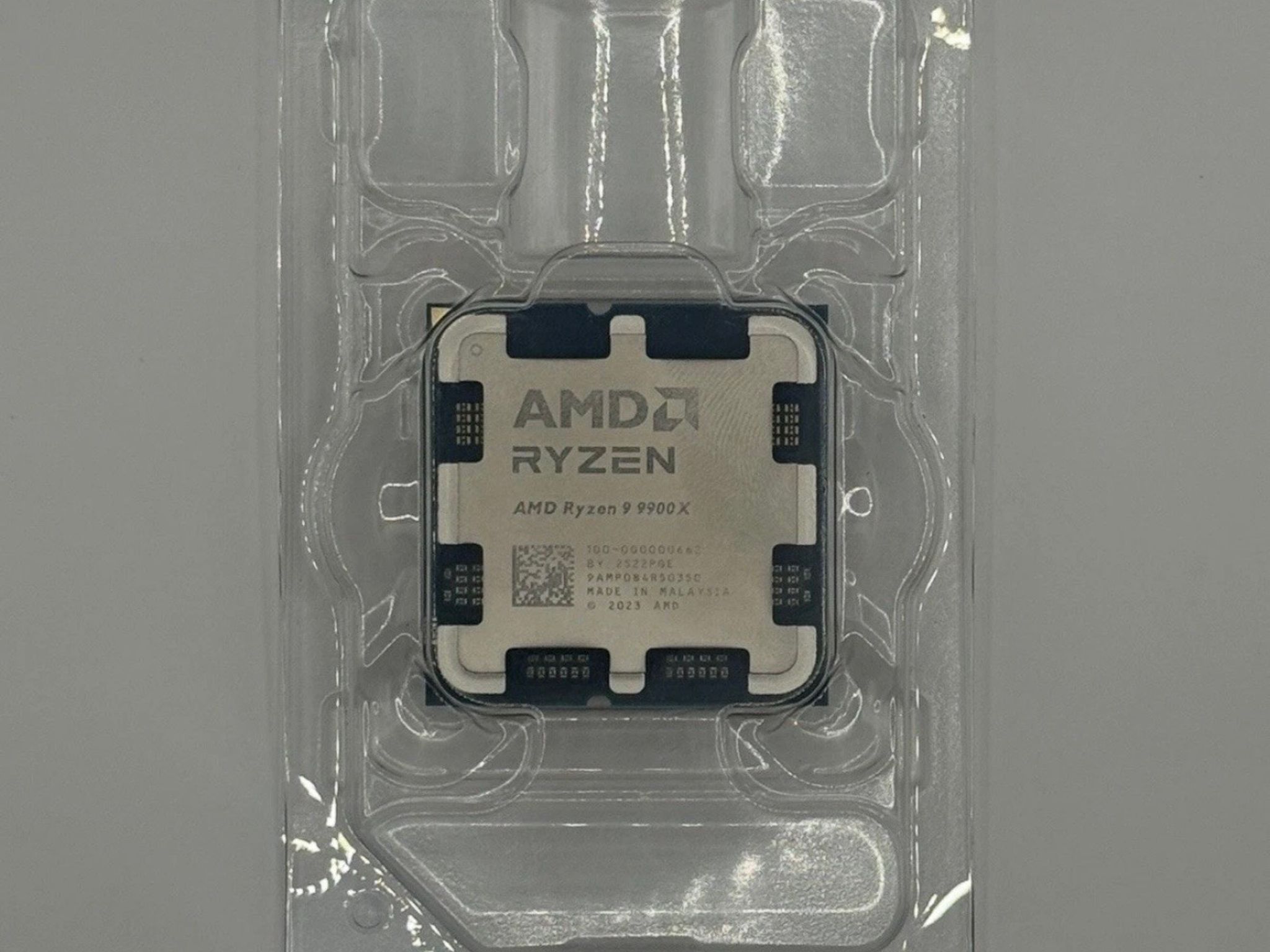 AMD Ryzen 9 9900X