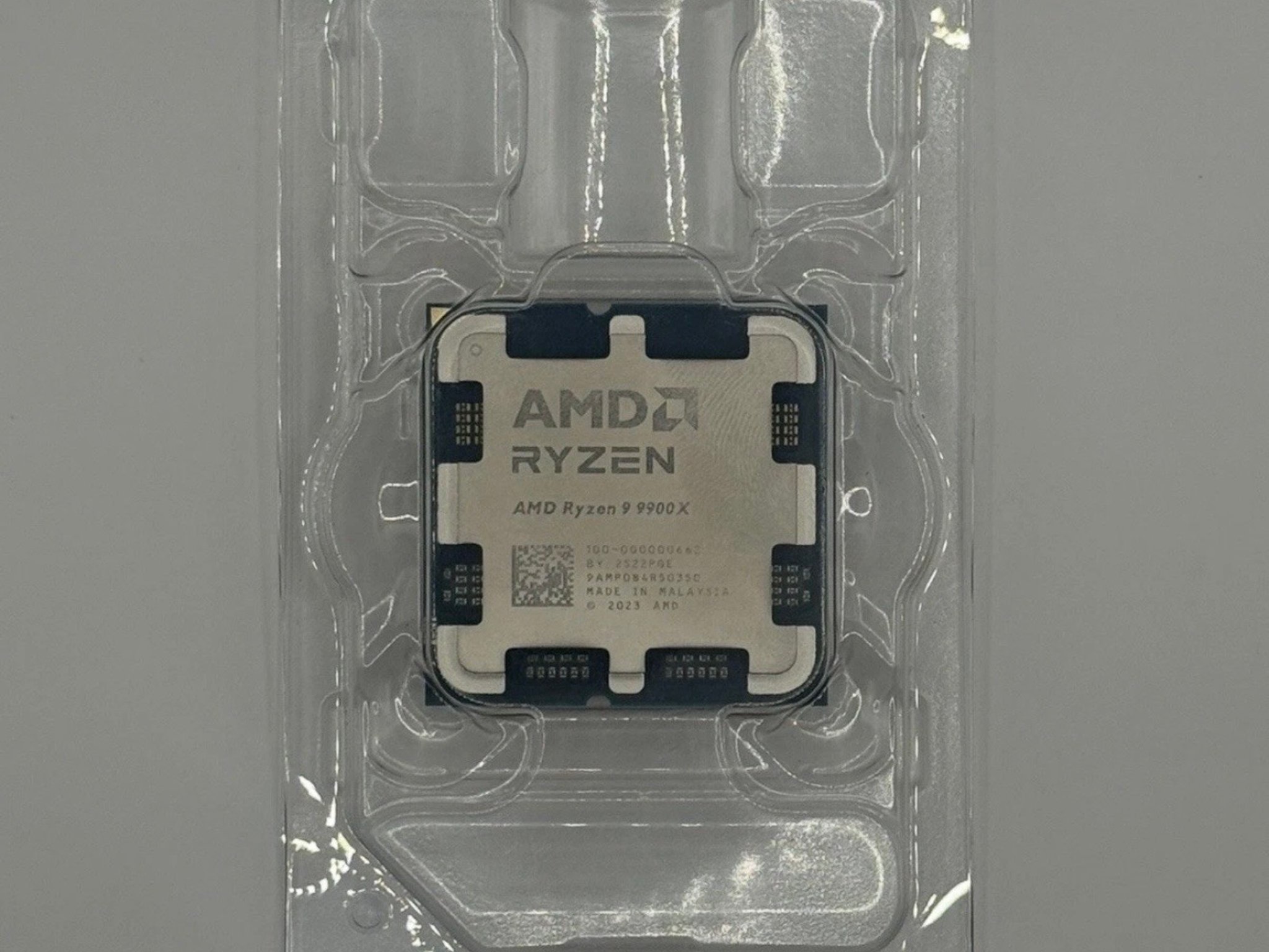 AMD Ryzen 9 9900X