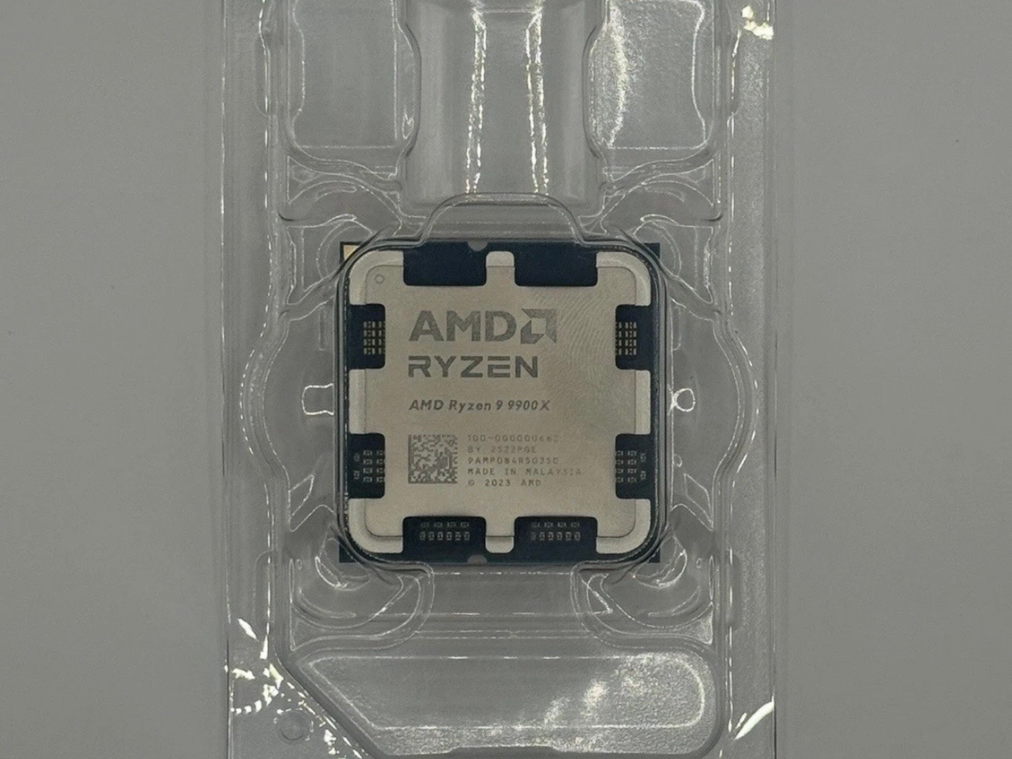AMD Ryzen 9 9900X