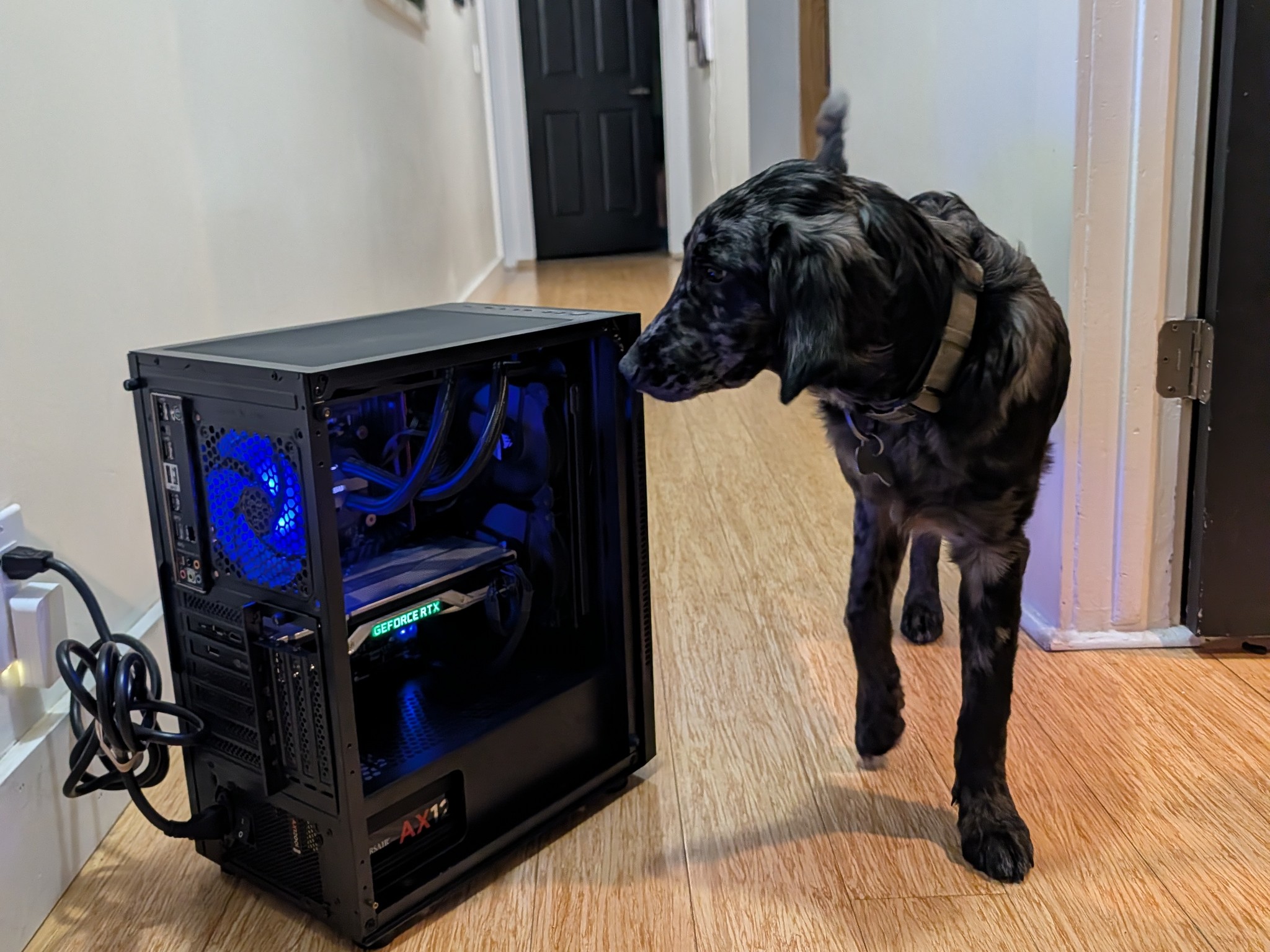 Gaming-PC | RTX 2080 TI FE | 32GB DDR4 | I7 6900K | 1.5TB | Corsair AIO | 1200W Corsair |