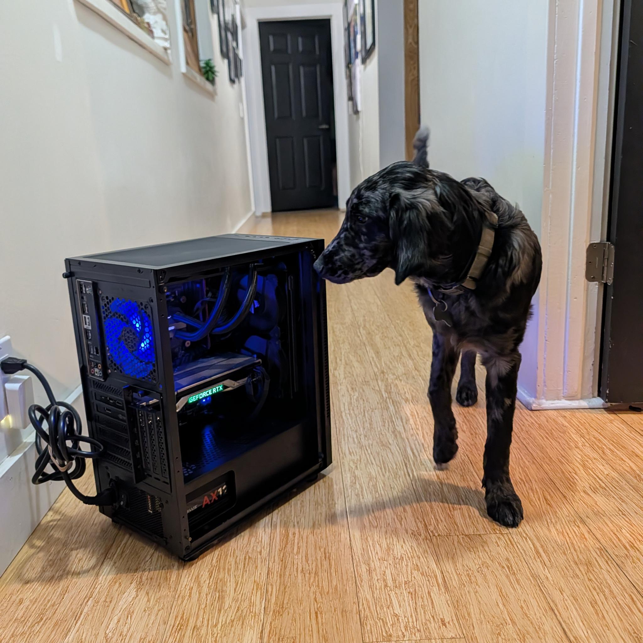 Gaming-PC | RTX 2080 TI FE | 32GB DDR4 | I7 6900K | 1.5TB | Corsair AIO | 1200W Corsair |