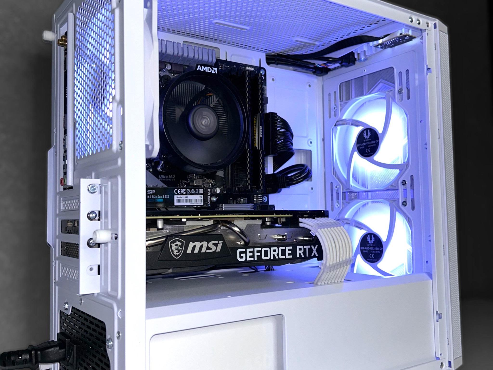 🐼🐼🐼 | MSI RTX 3060Ti | Ryzen 5 5600 | Corsair 16GB 3200Mhz 