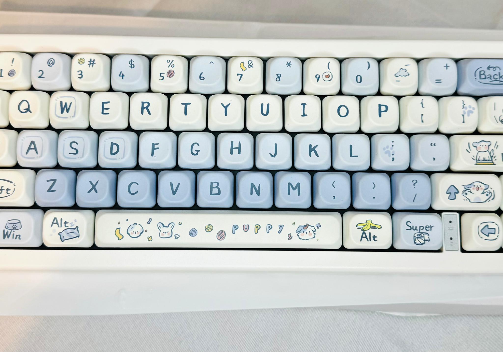 Cute Blue and white Custom Keyboard