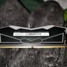 On Sale! T-force Delta DDR5 1X16