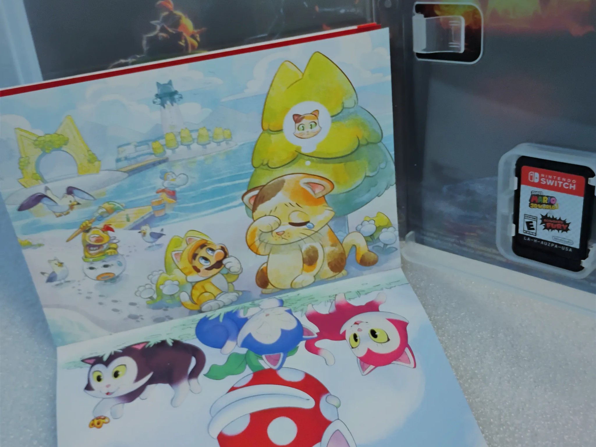 Rare Nintendo Fanart * Cover + Instruction Booklet Bowser's Fury Mario 3D World with Switch Games