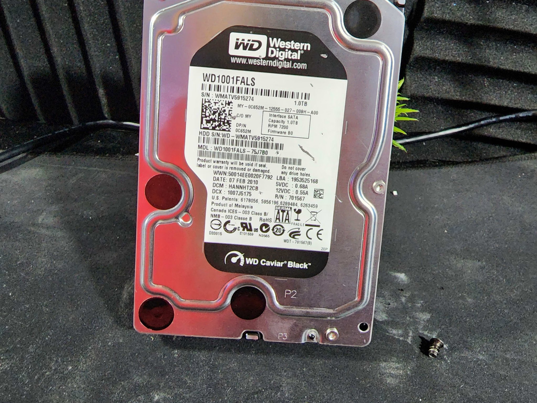 Western Digital Black 1 TB 3.5" 7200RPM Internal Hard Drive **READ DESC**