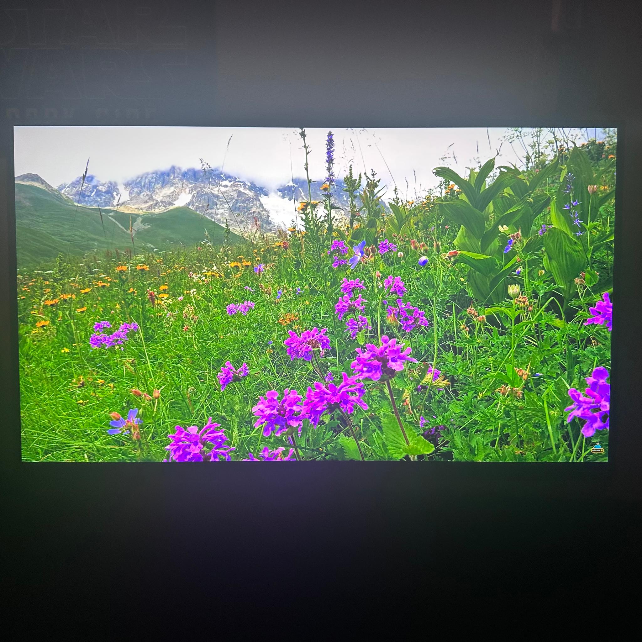 MSI G274QPF 27” 1440p, 170hz, 1ms rps, HDR400 (USED)