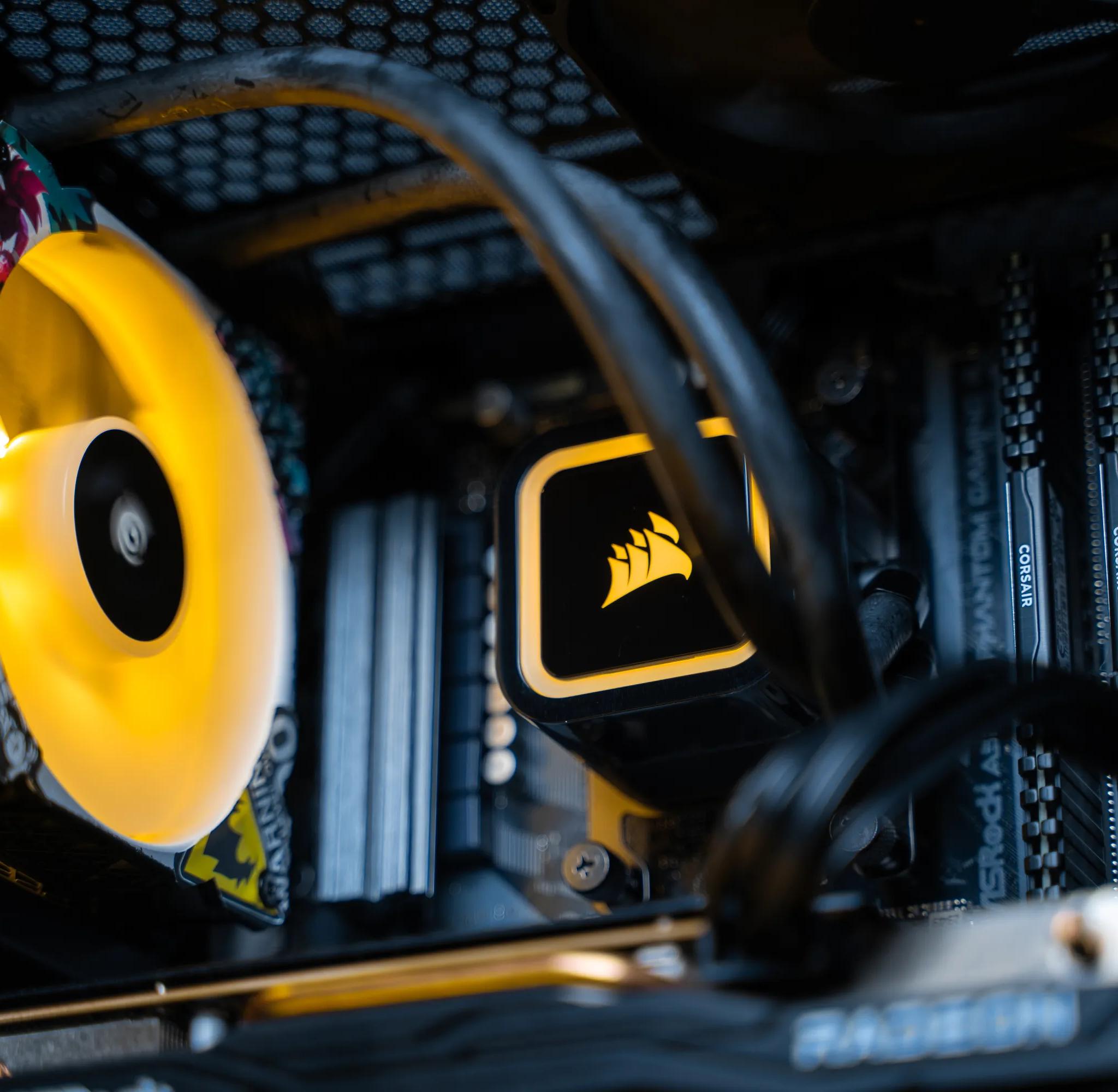 “Scolytinae” RX 7600 Ryzen 5 16GB Windows 11 .5TB Gaming PC Powerhouse