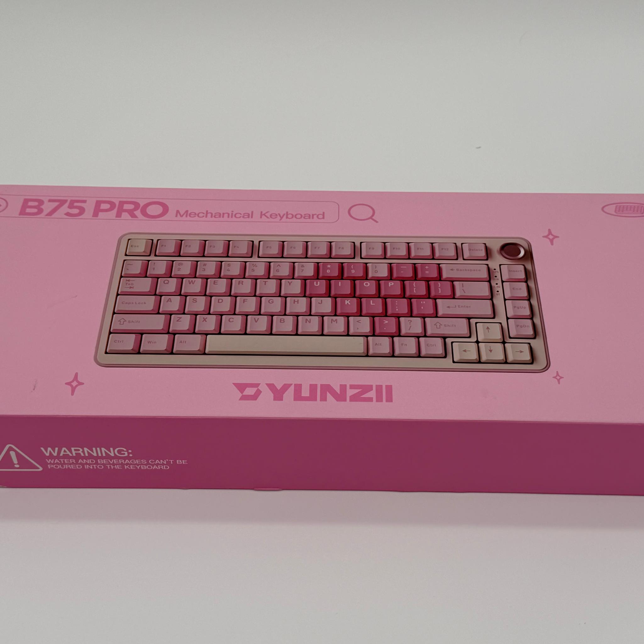 YUNZII B75 PRO Wireless Mechanical Keyboard,75% Layout with Knob,Hot Swap Gasket