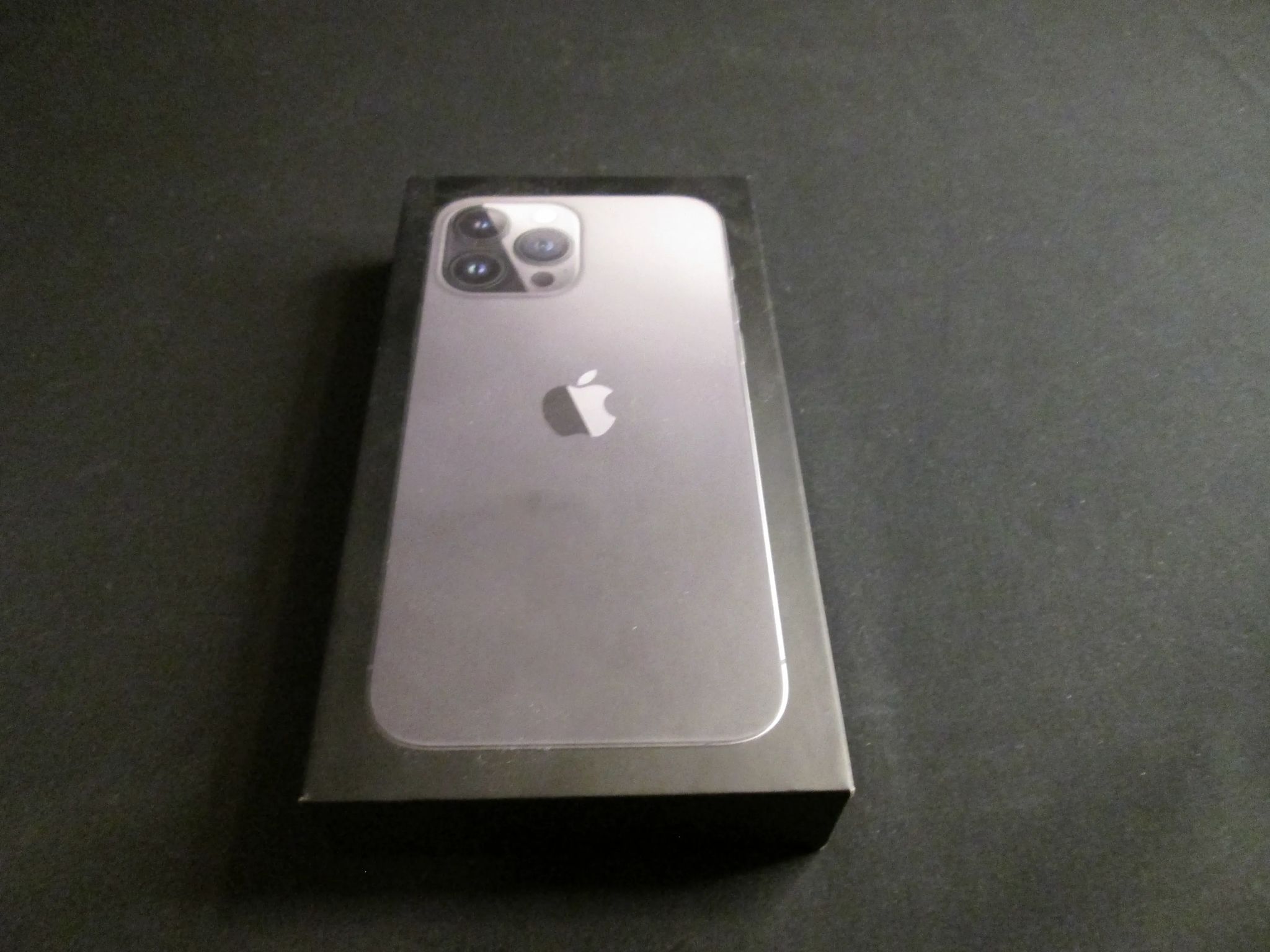 Iphone 13 Pro Max With Case