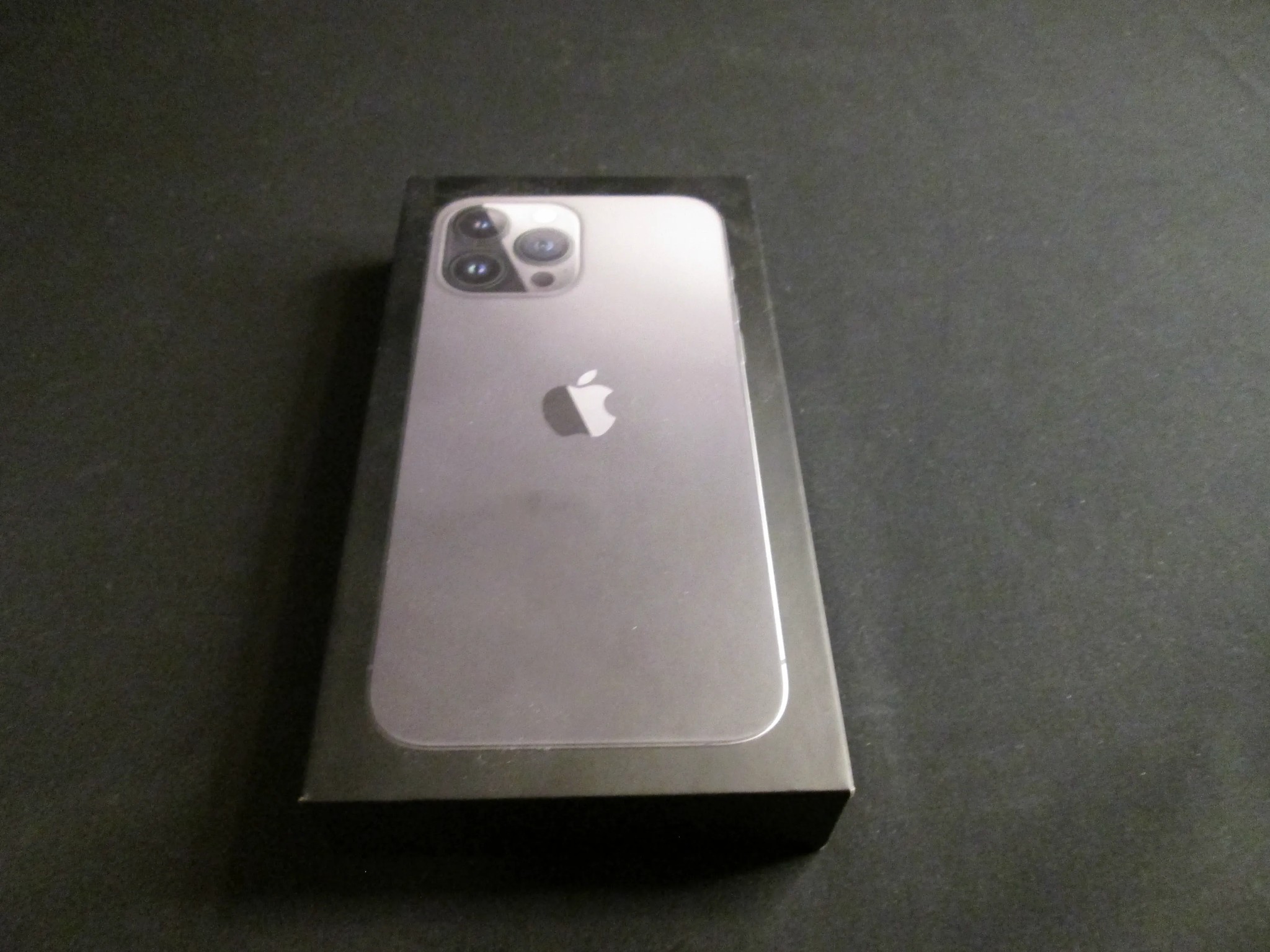 Iphone 13 Pro Max With Case