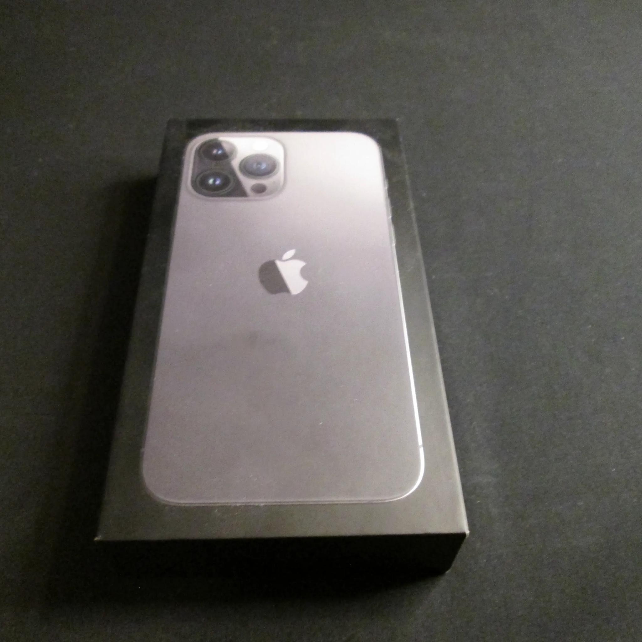 Iphone 13 Pro Max With Case