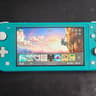 Modded Switch Lite with 256GB SD Card and Picofly