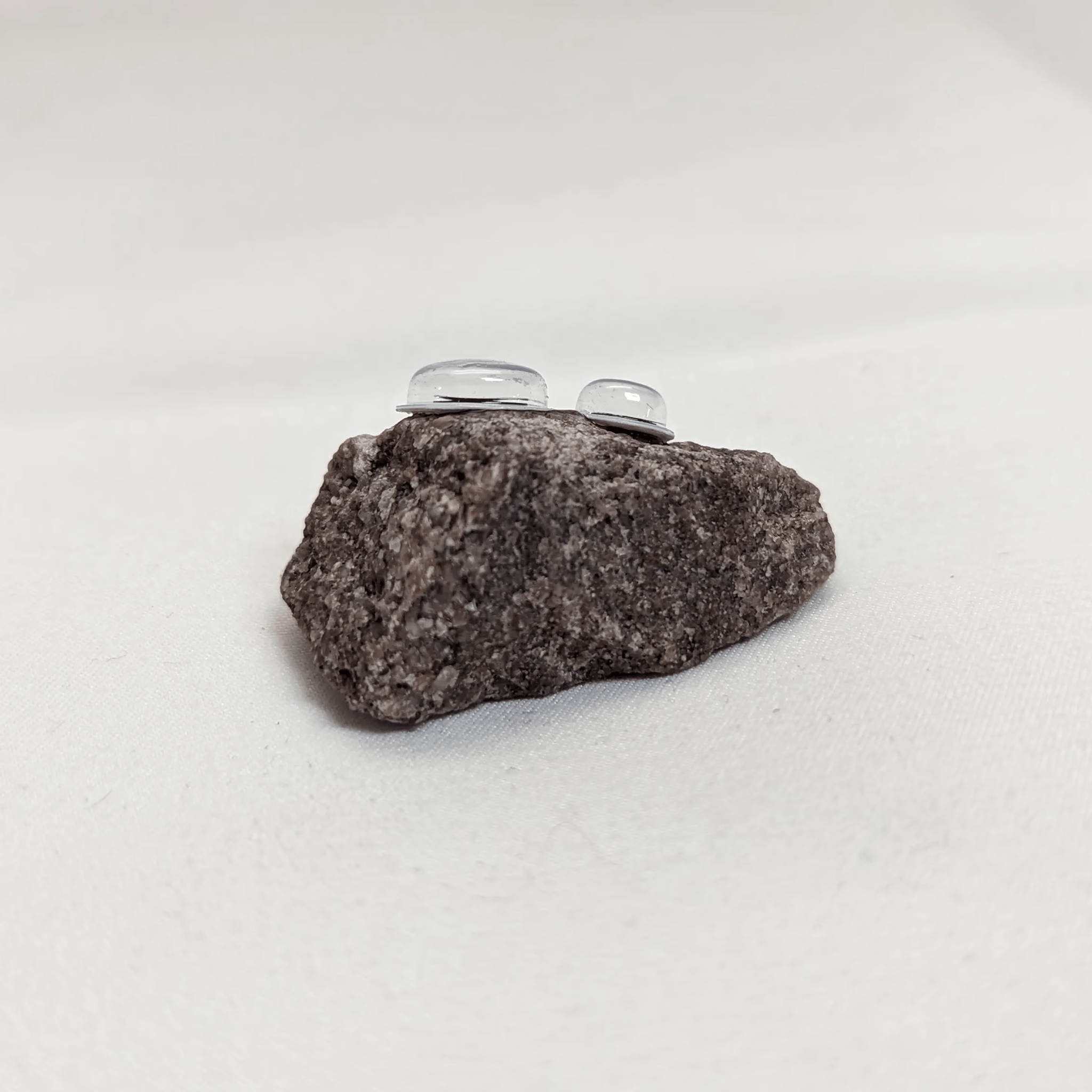 Bertrand the Pet Rock