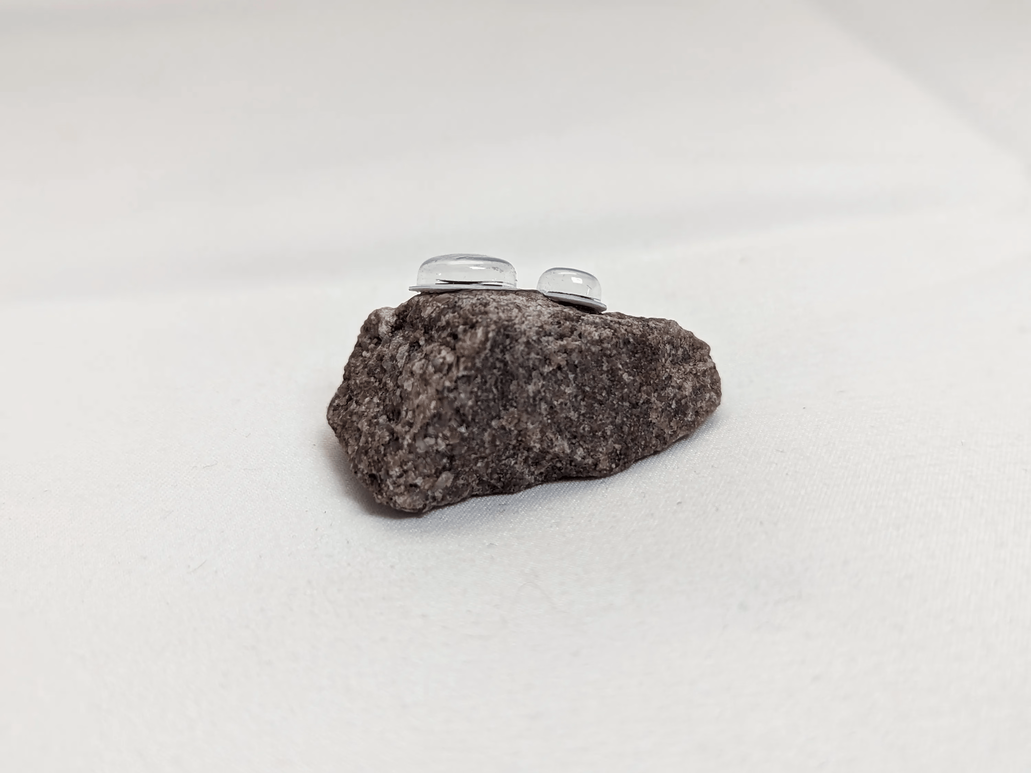 Bertrand the Pet Rock