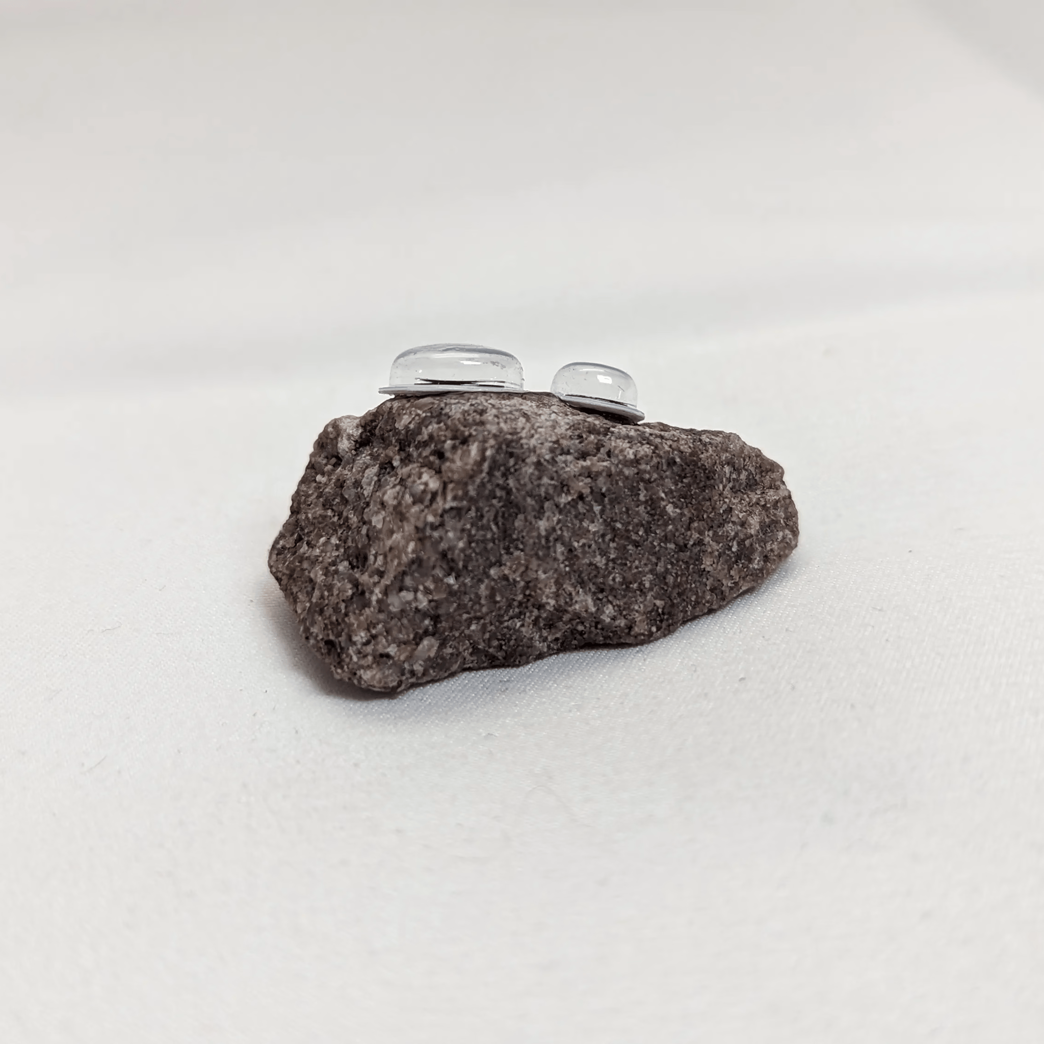 Bertrand the Pet Rock