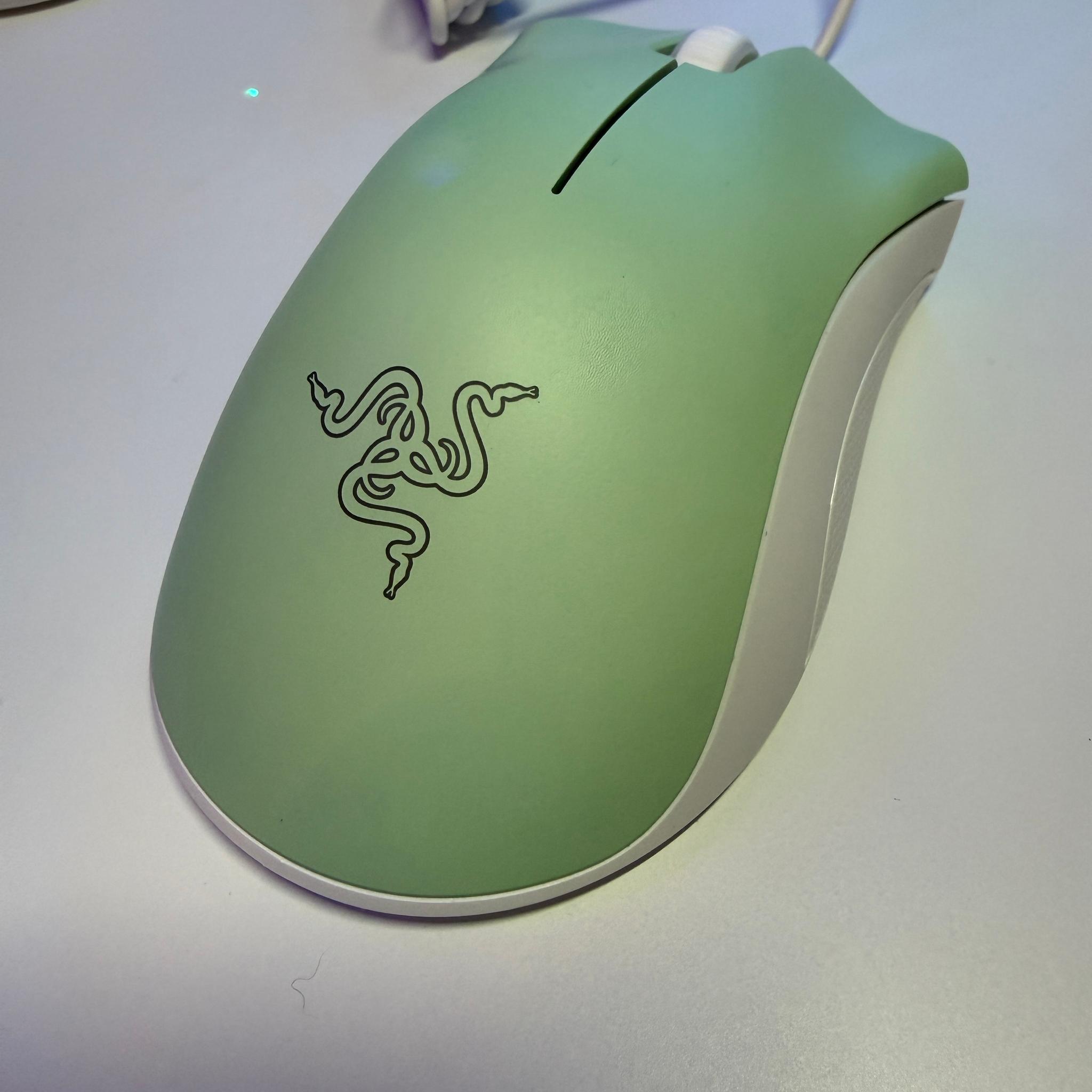 Razer DeathAdder Essential  Wired Gaming Optical Mouse, Custom White/Mint Green.