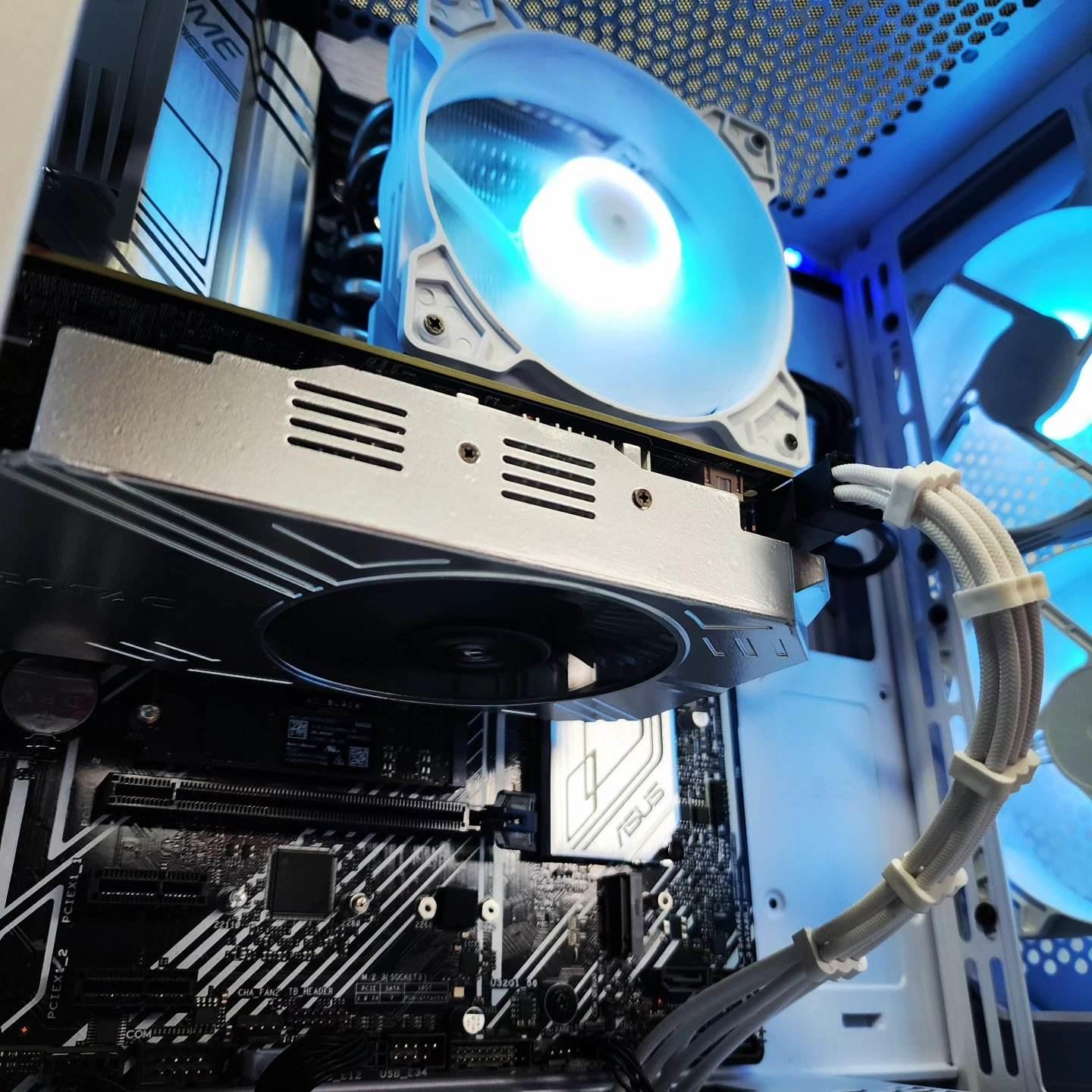 💙🤍💙 GTX 1060 6GB // Intel Core i3 10105F // Silicon Power 16GB 3200MHz